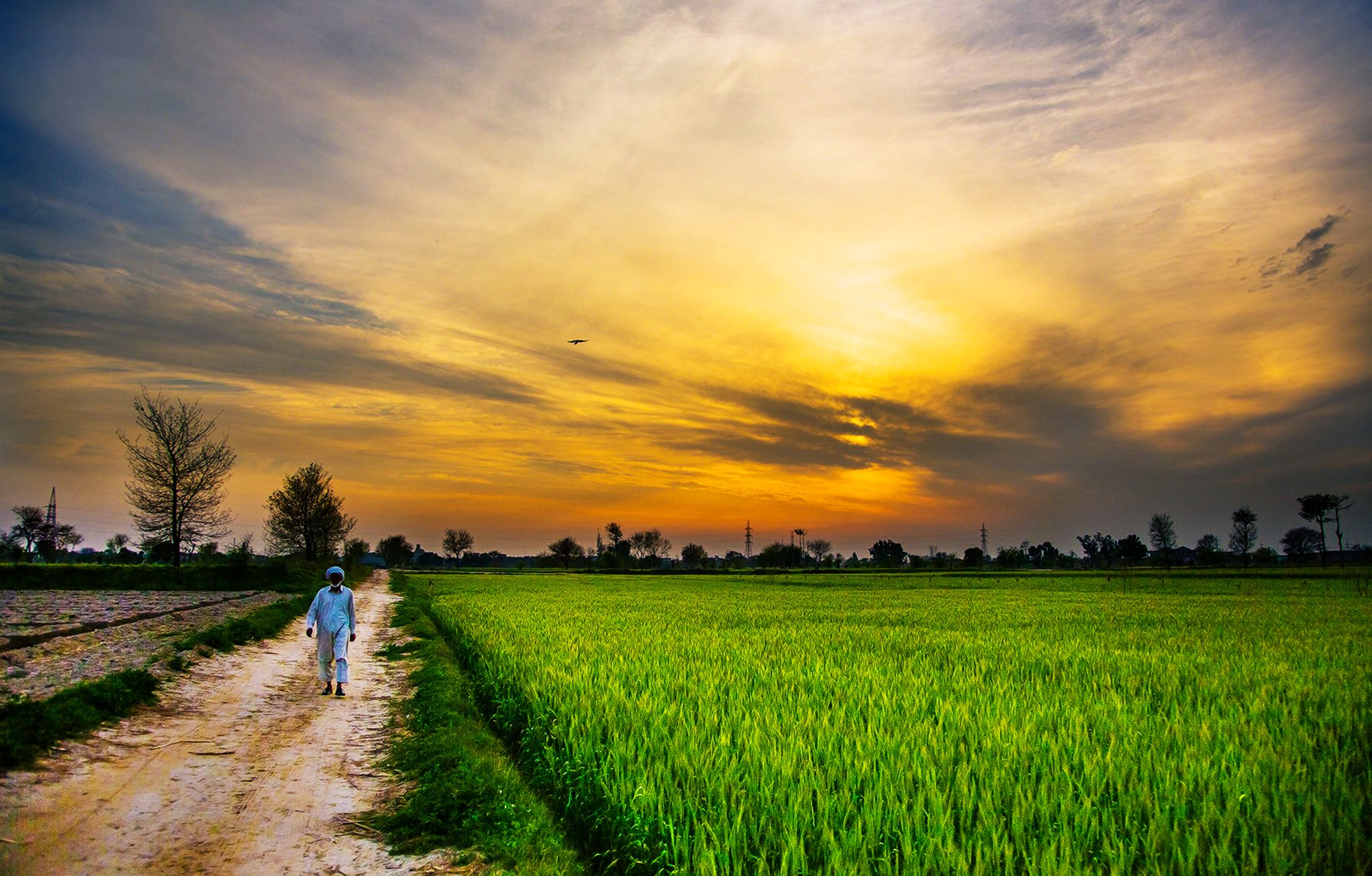 photography, landscape, countryside, field, nature, pakistan, sunset