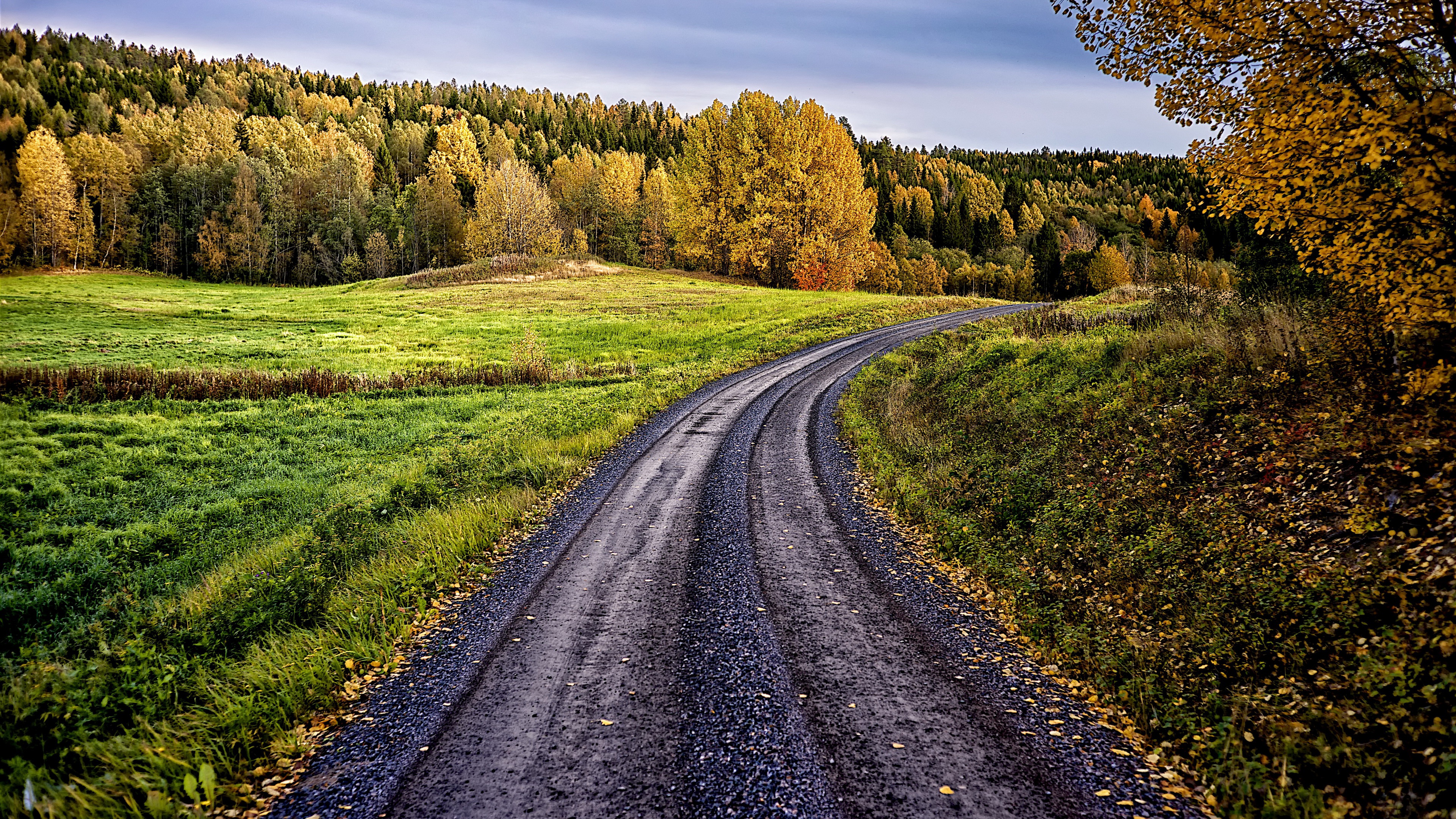 Téléchargez des papiers peints mobile Automne, Route, Forêt, Construction Humaine gratuitement.