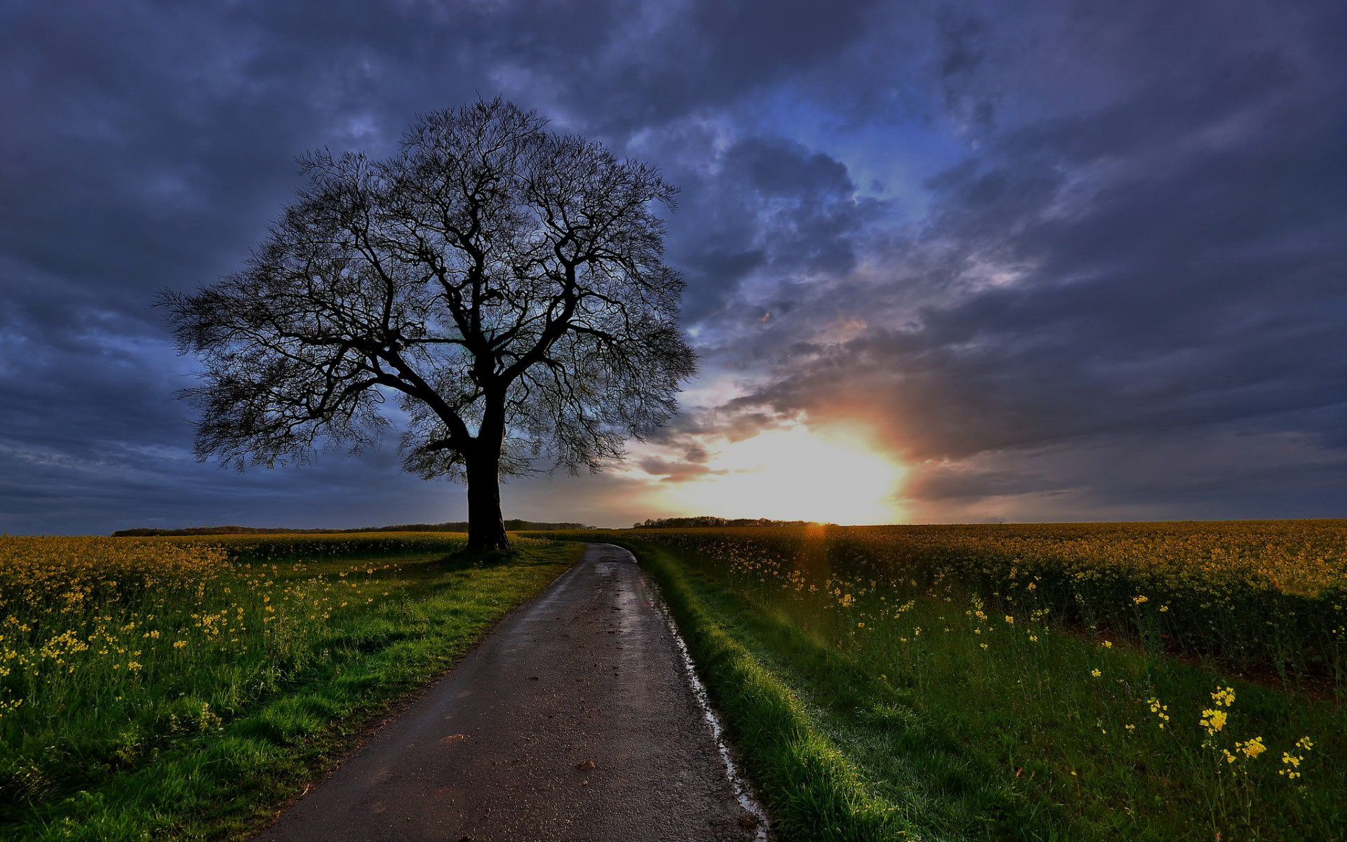 Descarga gratuita de fondo de pantalla para móvil de Carretera, Hecho Por El Hombre.