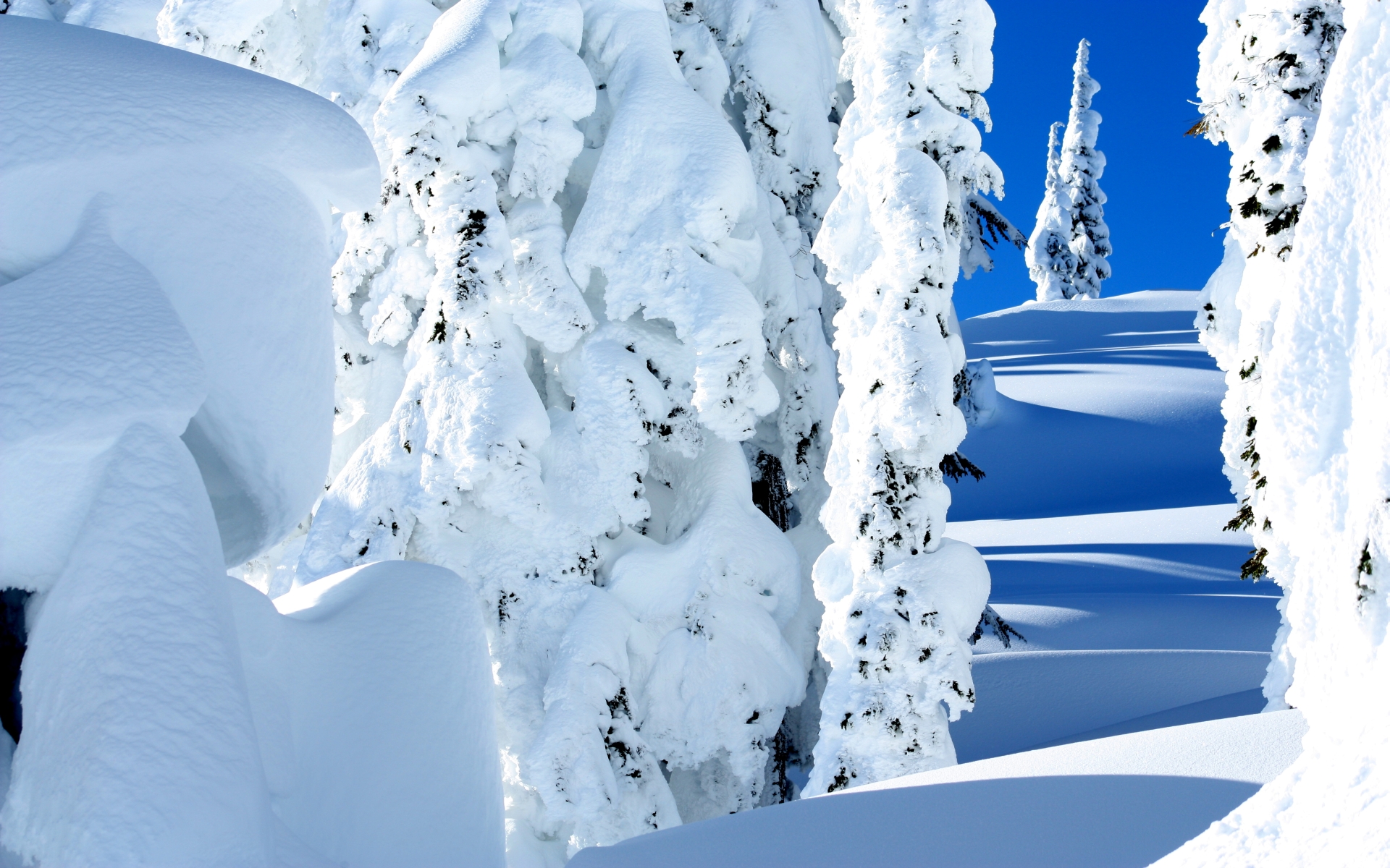 Скачать картинку Зима, Небо, Снег, Белый, Земля/природа в телефон бесплатно.