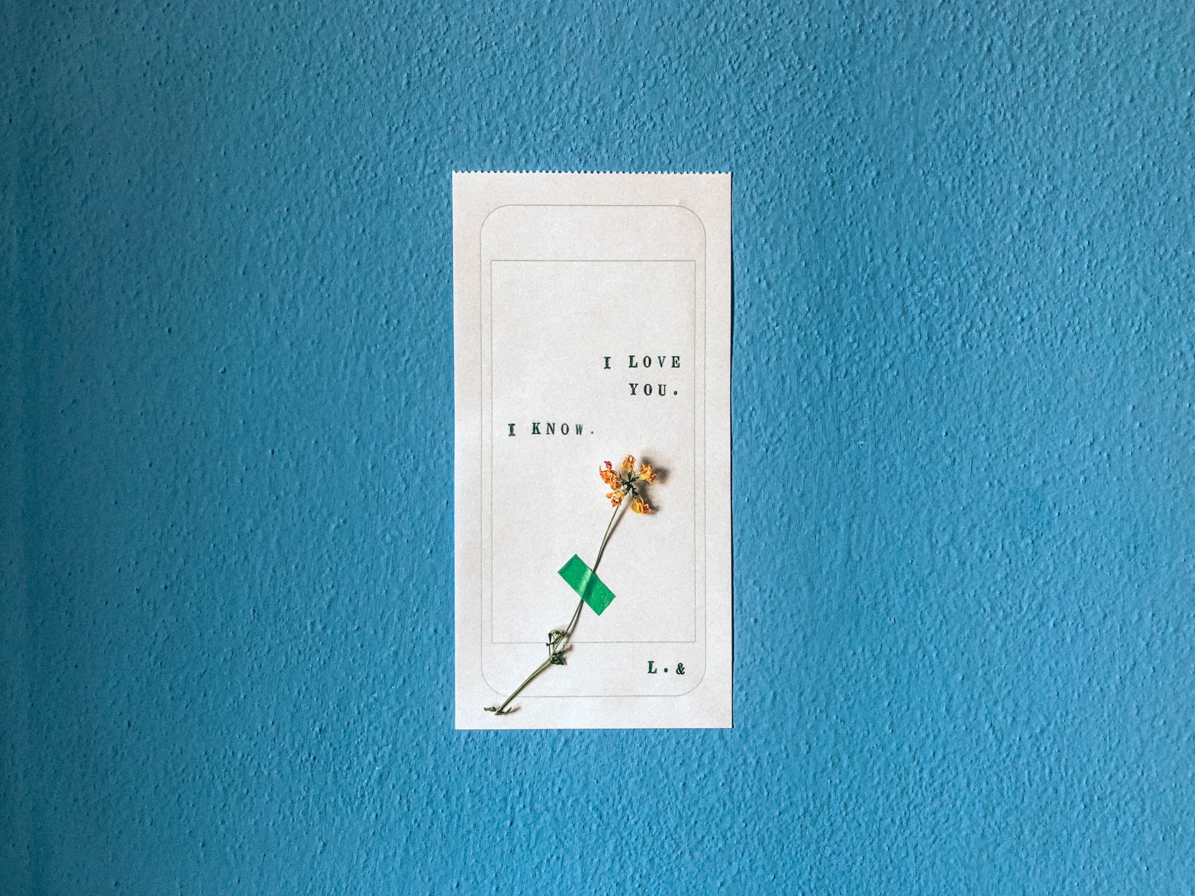 Download mobile wallpaper Flower, Inscription, Minimalism, Love for free.