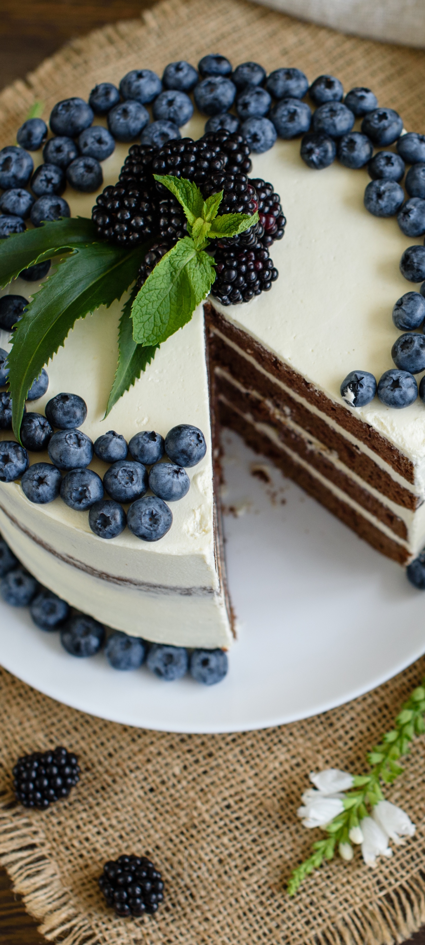 Download mobile wallpaper Food, Dessert, Blueberry, Still Life, Cake, Pastry for free.