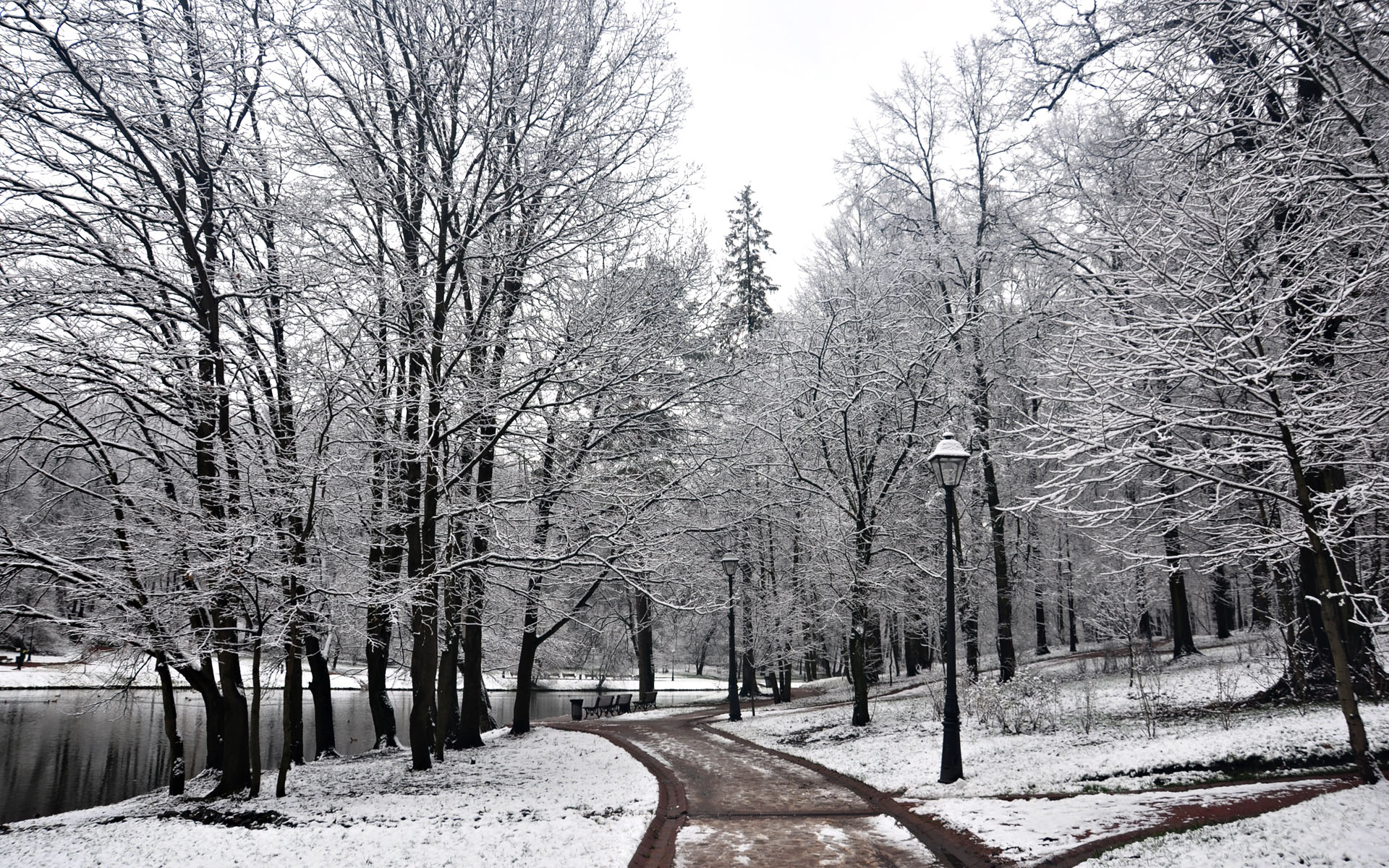 Baixar papel de parede para celular de Neve, Inverno, Árvore, Terra/natureza gratuito.