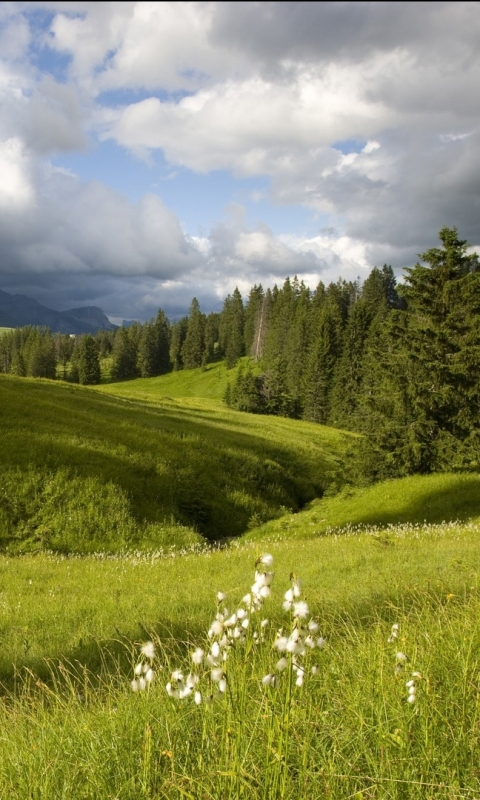 Handy-Wallpaper Landschaft, Erde/natur kostenlos herunterladen.