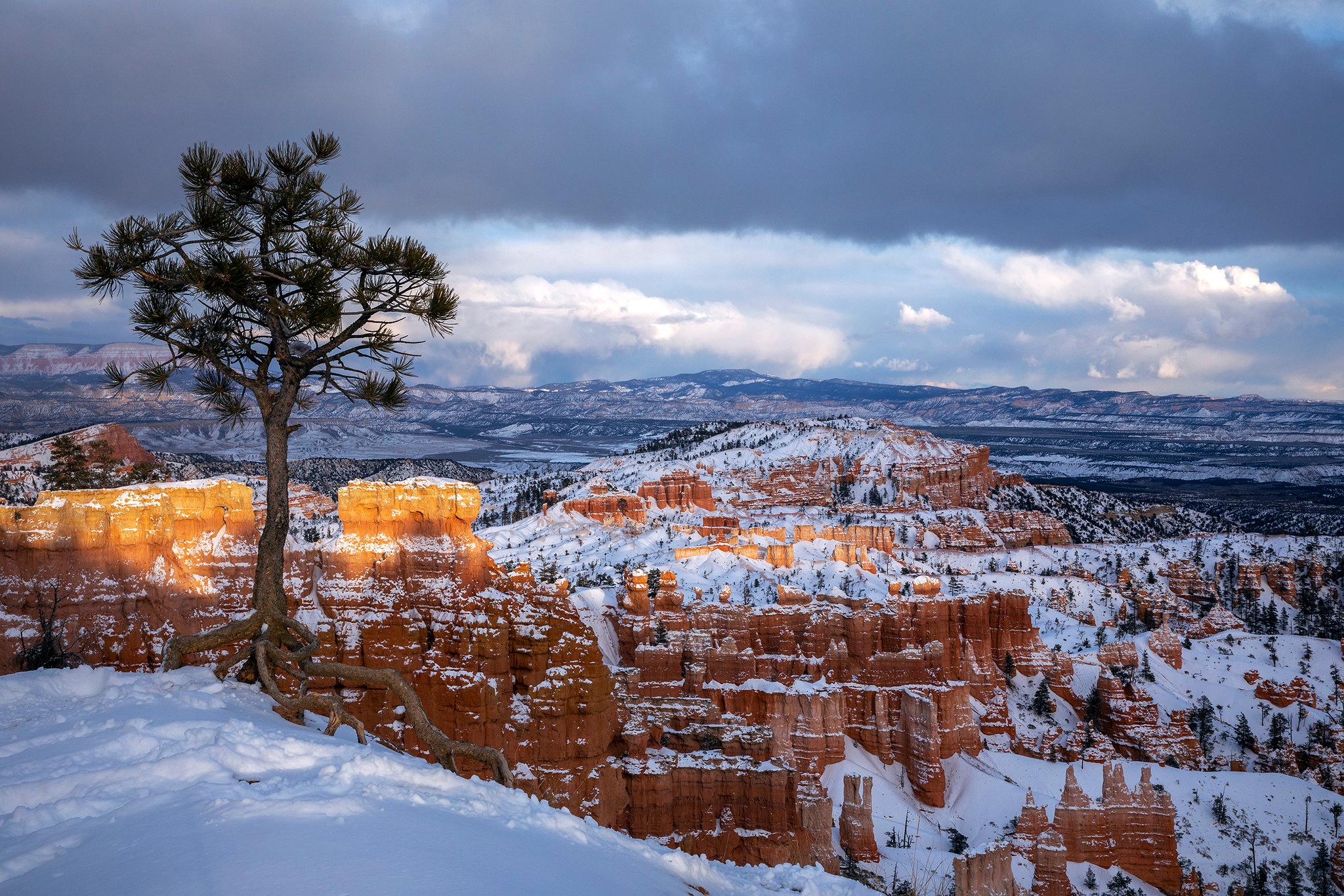 Download mobile wallpaper Winter, Canyon, Snow, Tree, Earth, Utah, National Park, Bryce Canyon National Park for free.