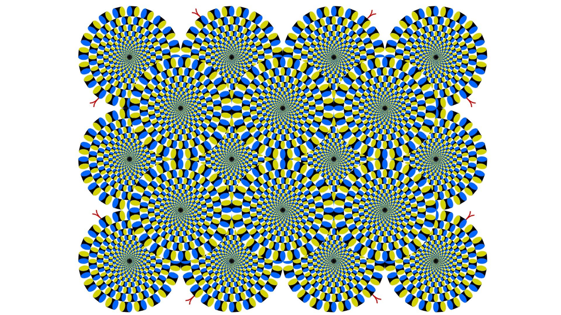 100192 скачать картинку оптическая иллюзия, абстракция, фон, круги, линии, вращение - обои и заставки бесплатно