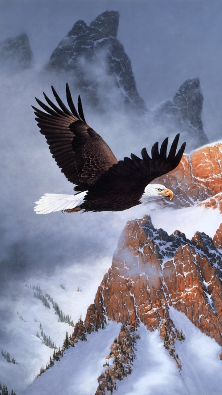 Download mobile wallpaper Birds, Animal, Bald Eagle for free.