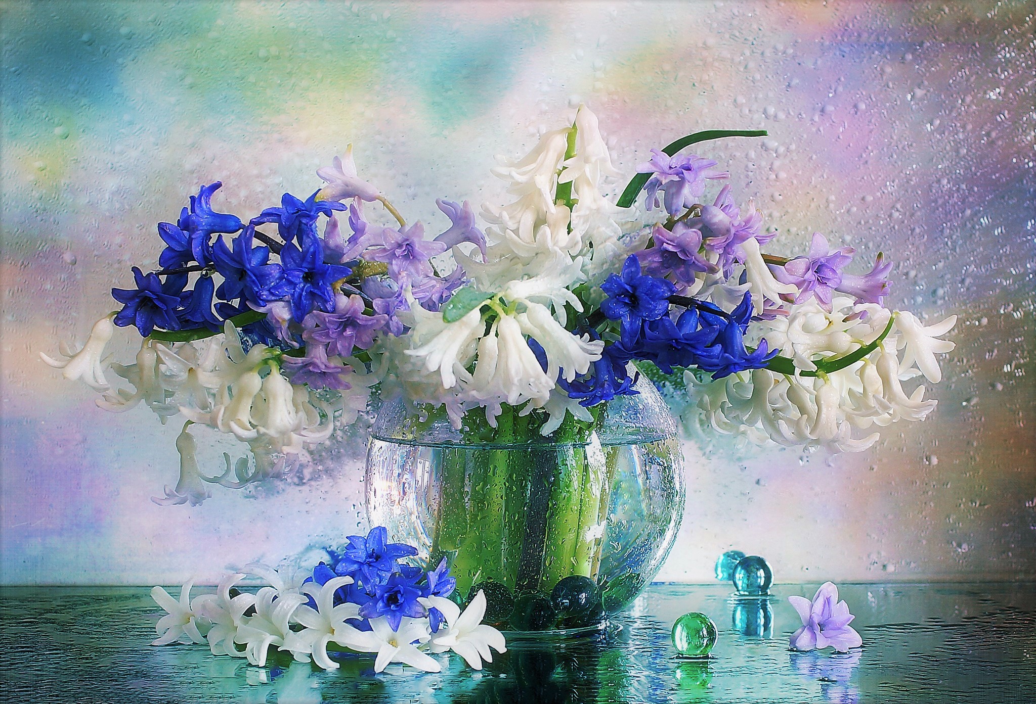 Download mobile wallpaper Hyacinth, Still Life, Flower, Window, Purple, Vase, Photography, Raindrops for free.