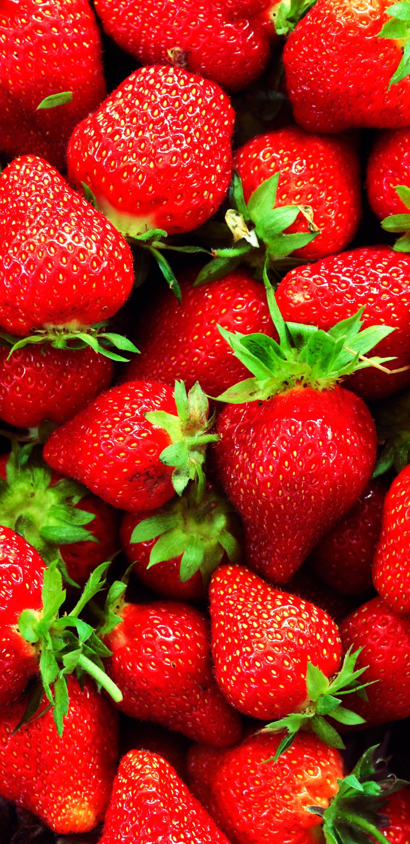 Laden Sie das Obst, Erdbeere, Beere, Frucht, Nahrungsmittel, Früchte-Bild kostenlos auf Ihren PC-Desktop herunter