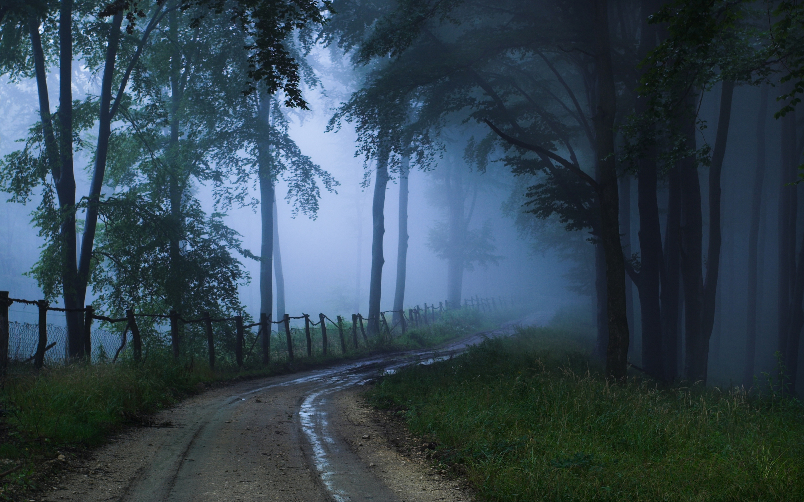 Laden Sie das Nebel, Erde/natur-Bild kostenlos auf Ihren PC-Desktop herunter