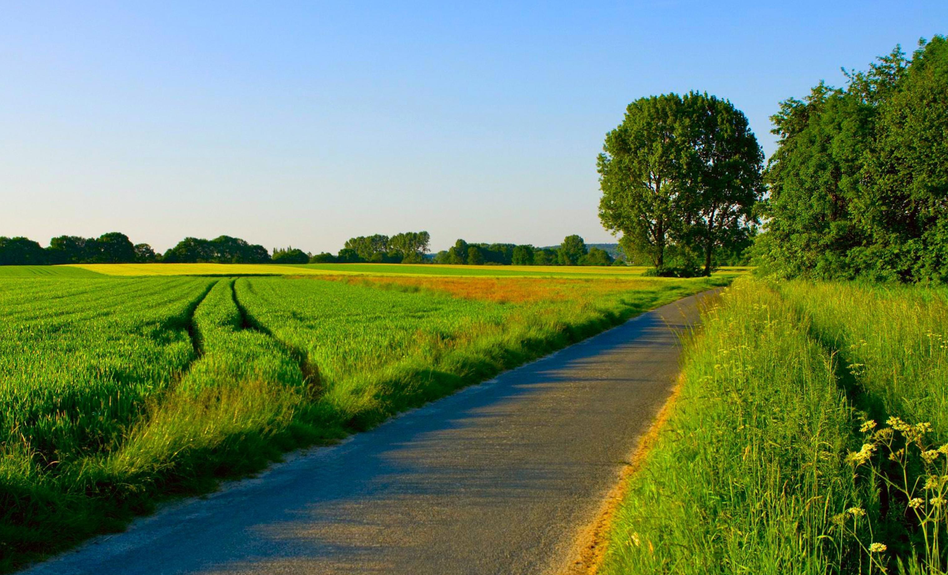 Download mobile wallpaper Summer, Road, Tree, Field, Man Made for free.