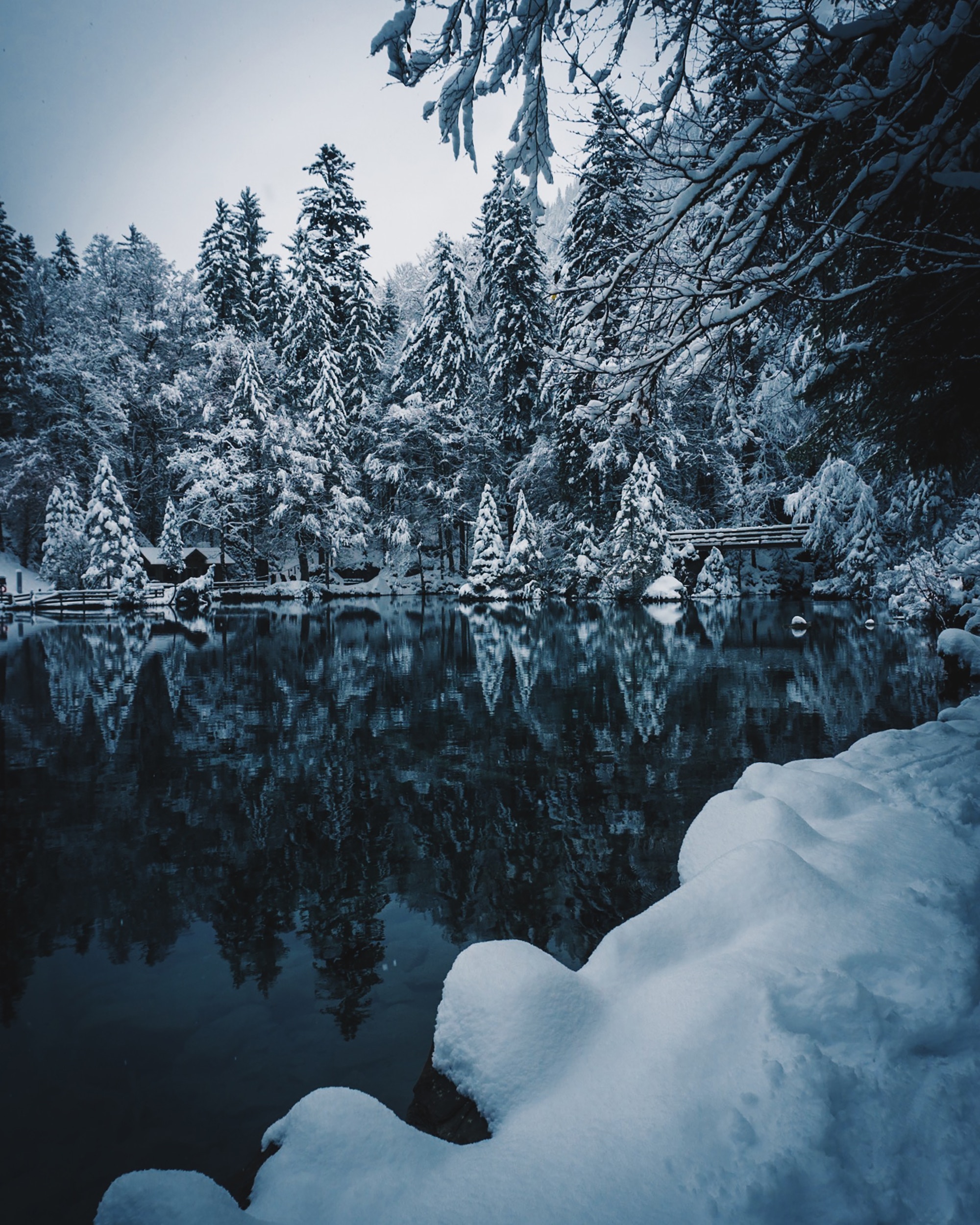 PCデスクトップに冬, 自然, 雪, 湖, ブランチ, 枝, 雪に覆われた, 積雪画像を無料でダウンロード