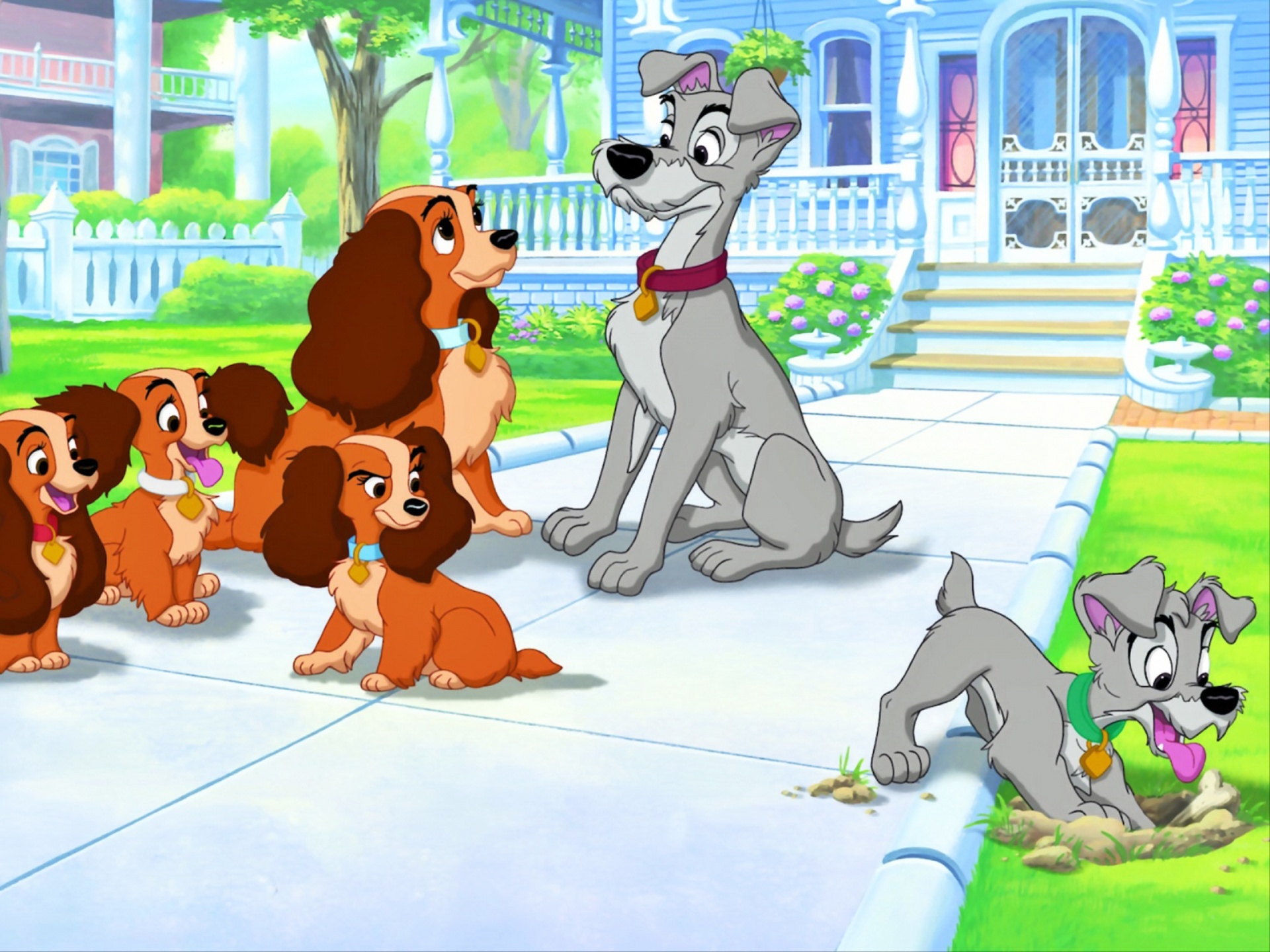 movie, lady and the tramp ii: scamp's adventure, annette (lady and the tramp), collette (lady and the tramp), danielle (lady and the tramp), lady (lady and the tramp), lady and the tramp, scamp (lady and the tramp), tramp (lady and the tramp)