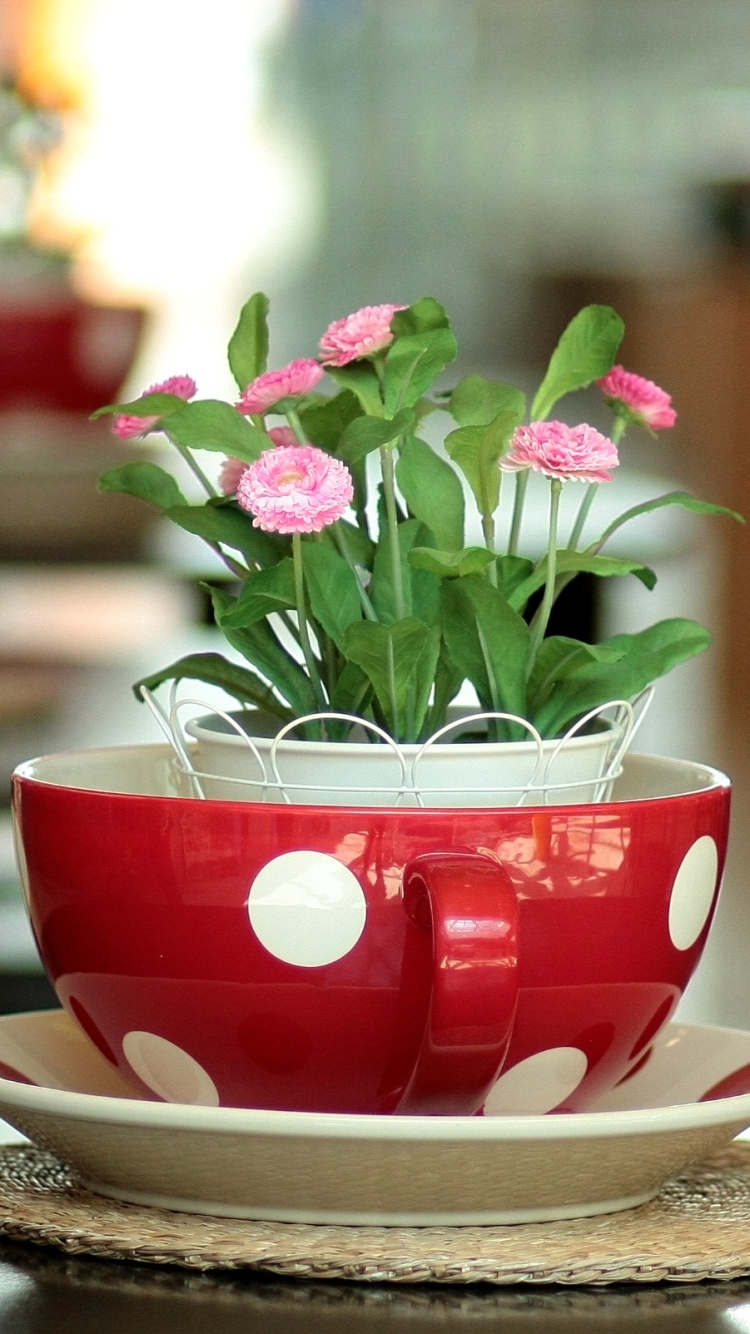 無料モバイル壁紙カップ, 静物, 花, 写真撮影, ピンクの花, 鉢植えをダウンロードします。