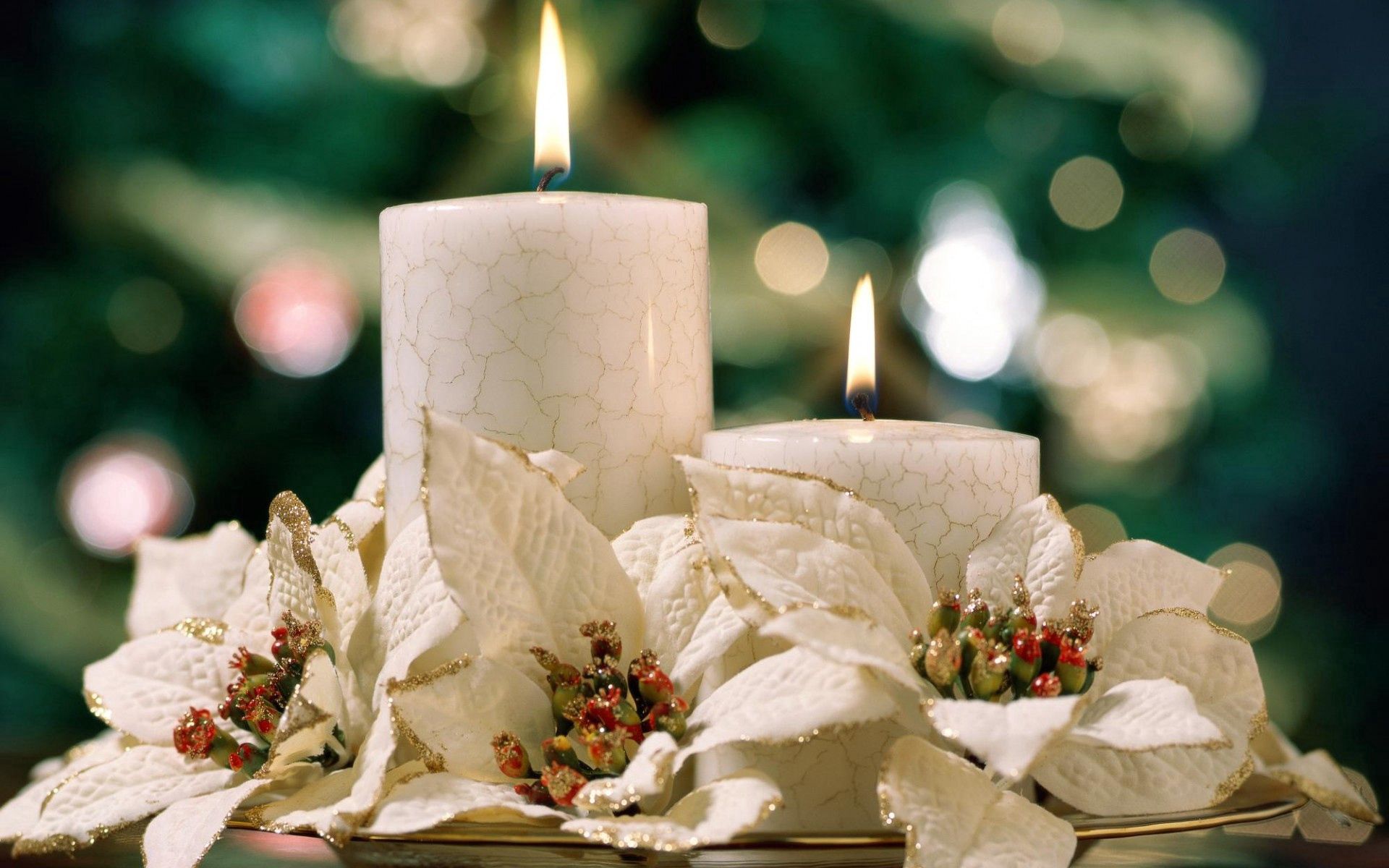 wax, candle, flowers, fire, white, miscellanea, miscellaneous Full HD