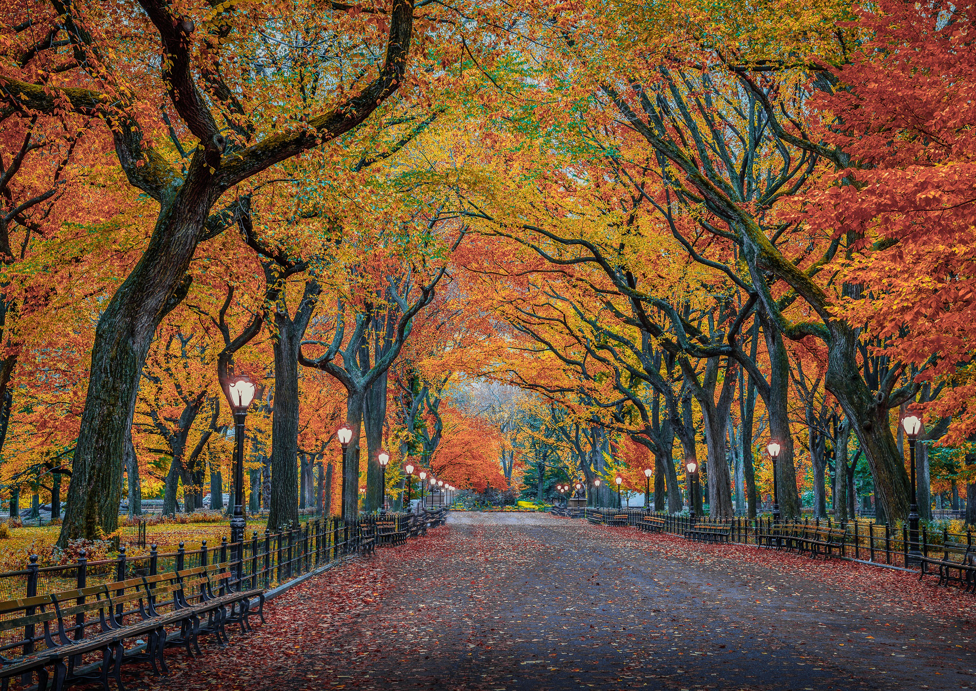 Free download wallpaper Park, Tree, Fall, Bench, Photography on your PC desktop