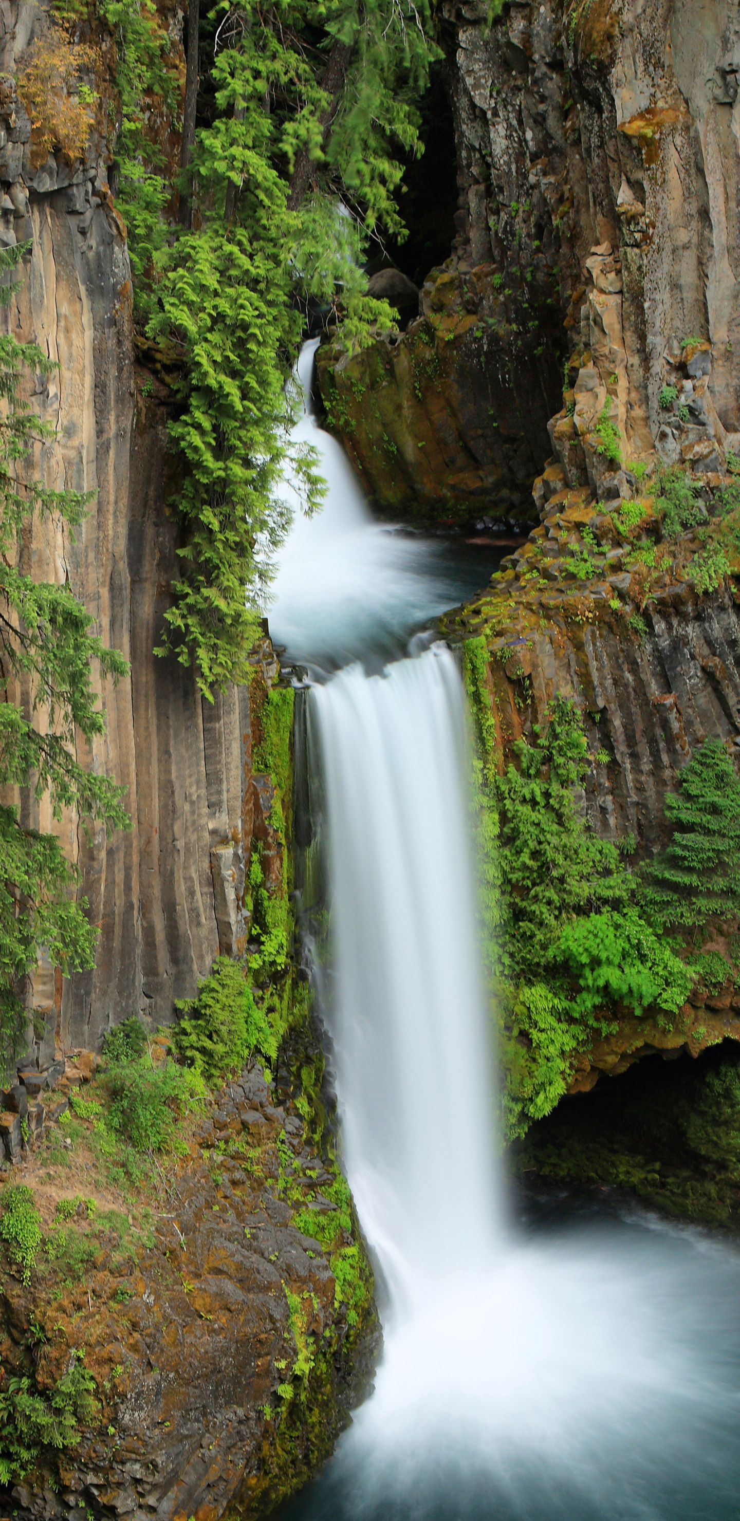 Download mobile wallpaper Nature, Waterfalls, Waterfall, Earth, Oregon, Toketee Falls for free.