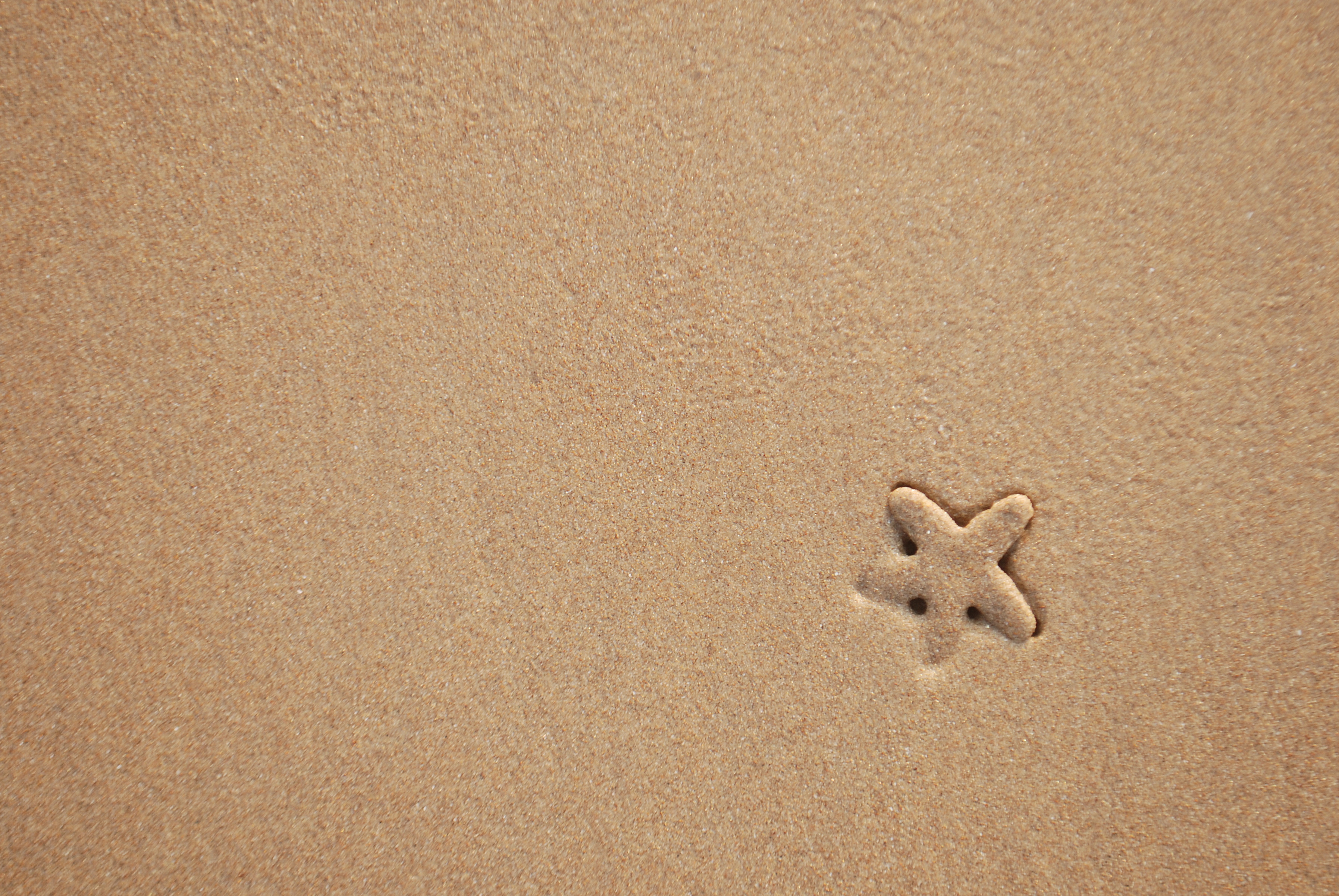 Free download wallpaper Starfish, Sand, Texture, Beach, Minimalism on your PC desktop