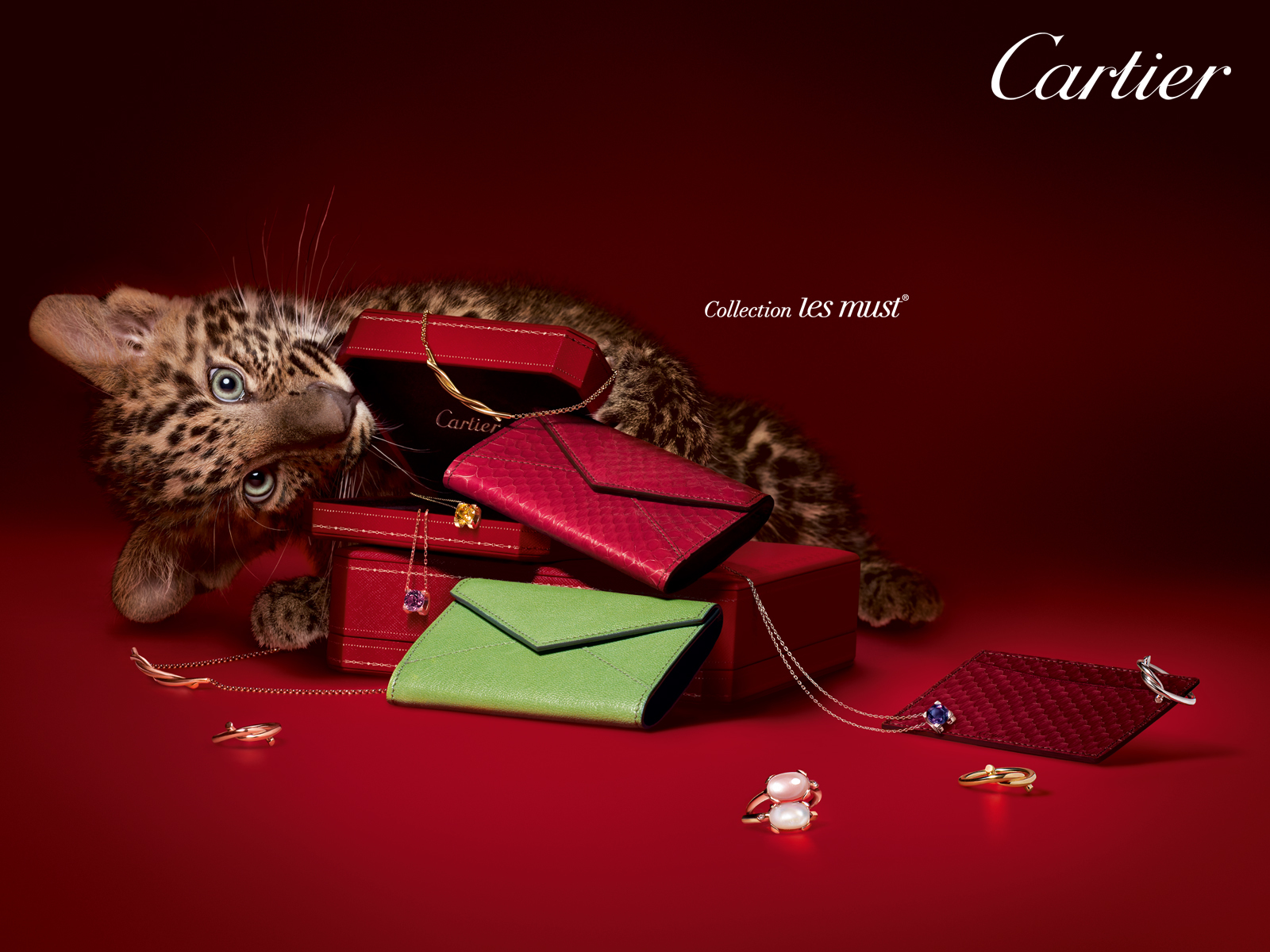leopards, brands, animals, red Image for desktop