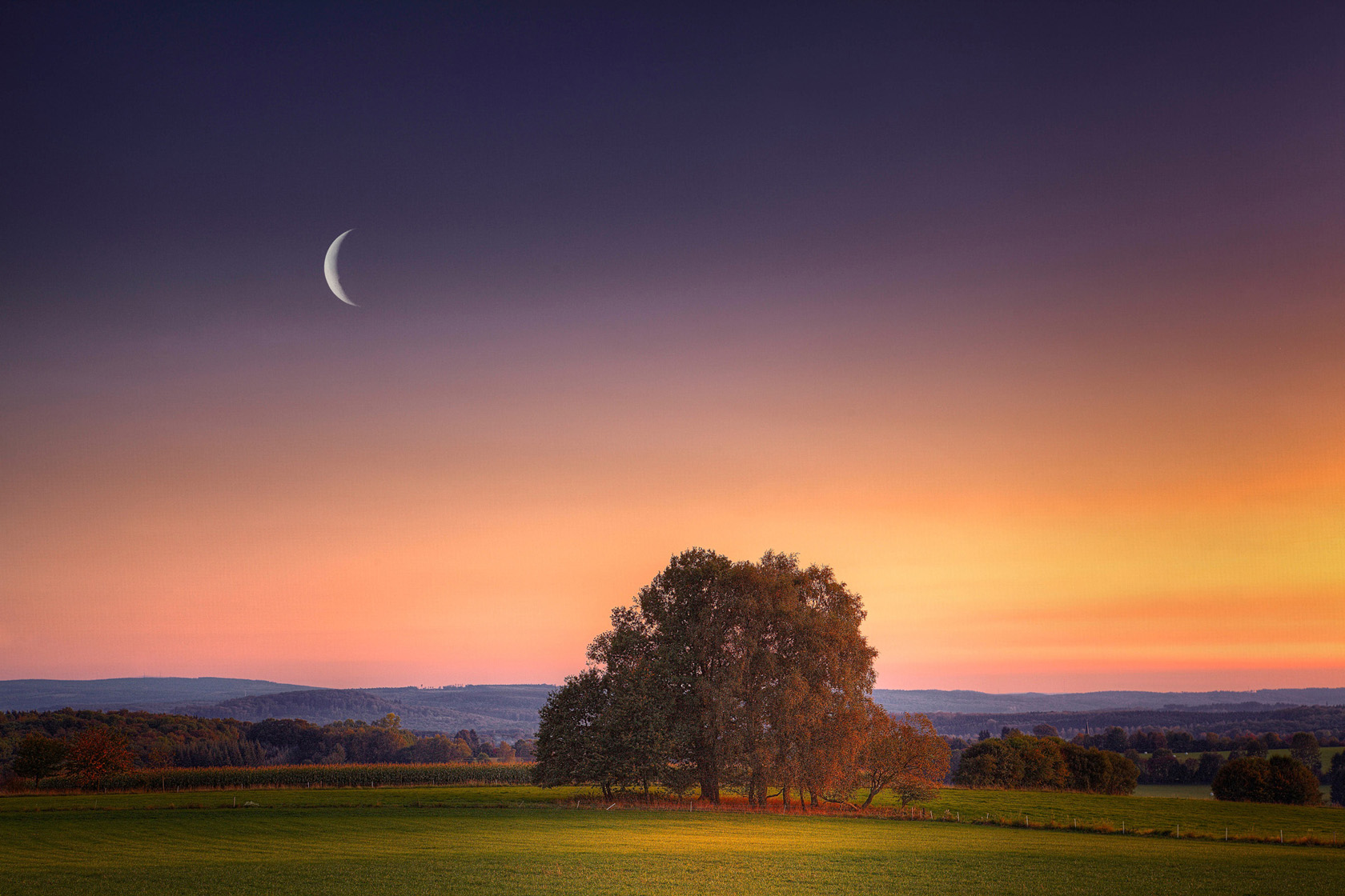 Download mobile wallpaper Landscape, Sunset, Moon, Tree, Sunrise, Earth, Field, Scenic for free.