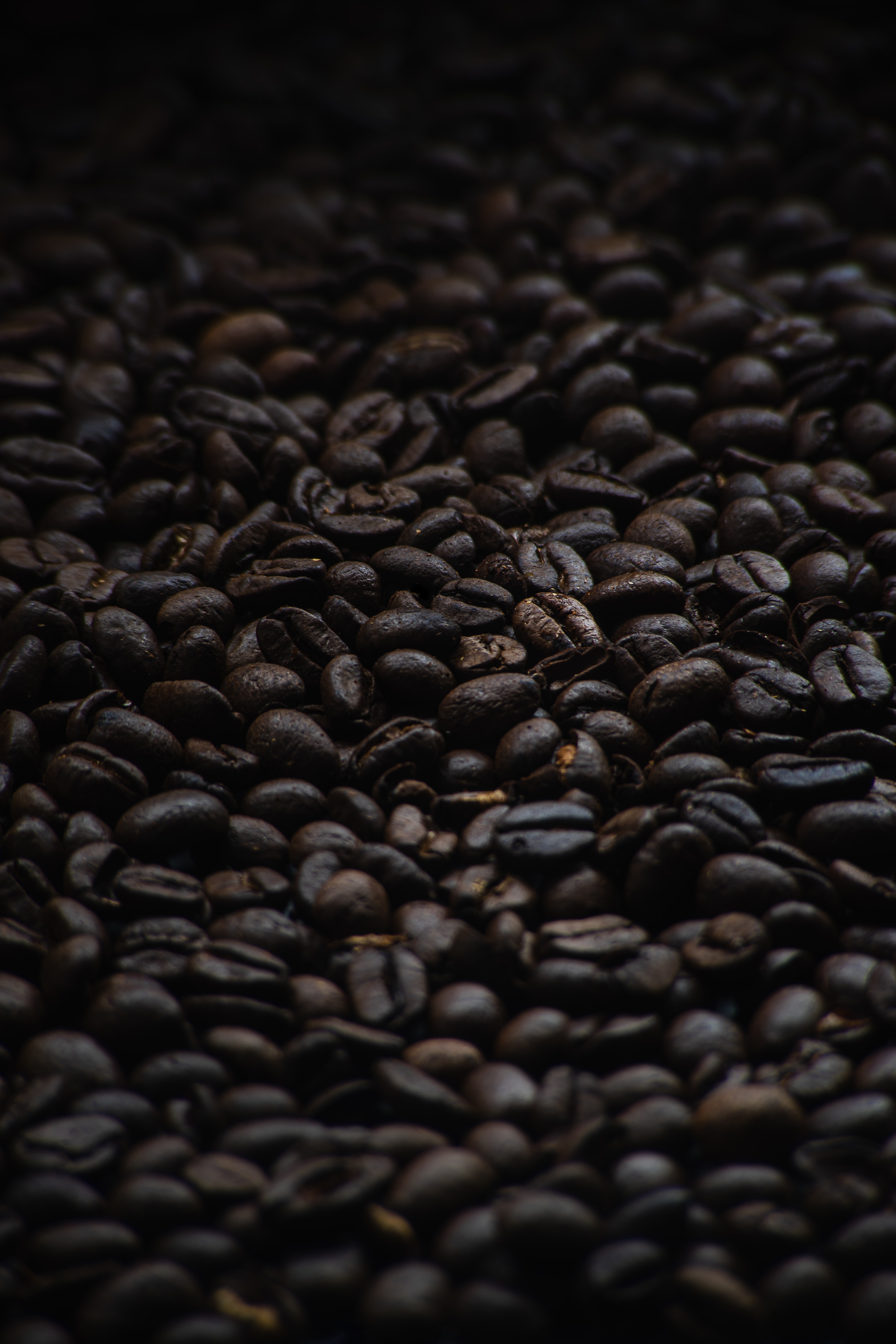 food, coffee, dark, brown, grains, coffee beans, grain