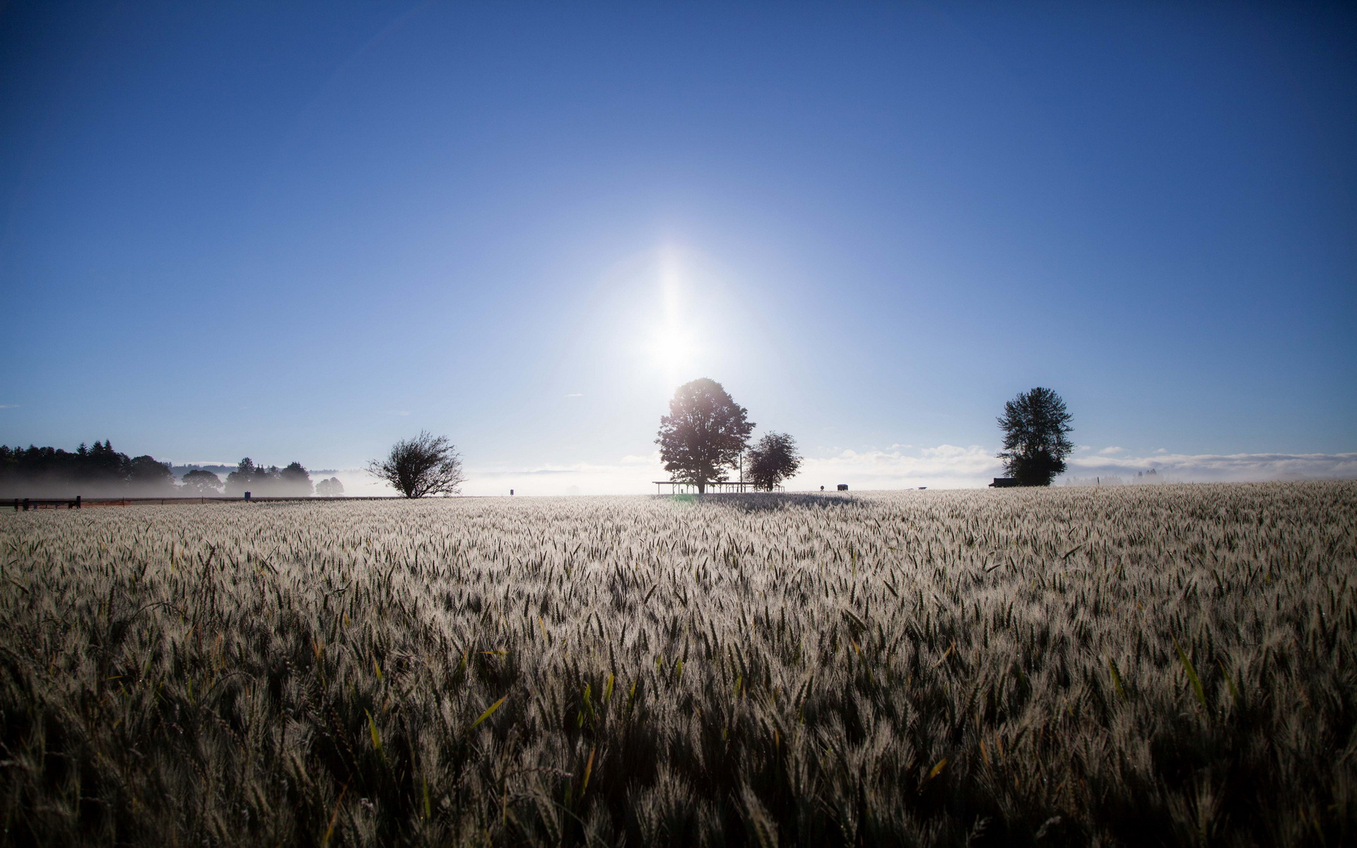 Laden Sie das Feld, Erde/natur-Bild kostenlos auf Ihren PC-Desktop herunter