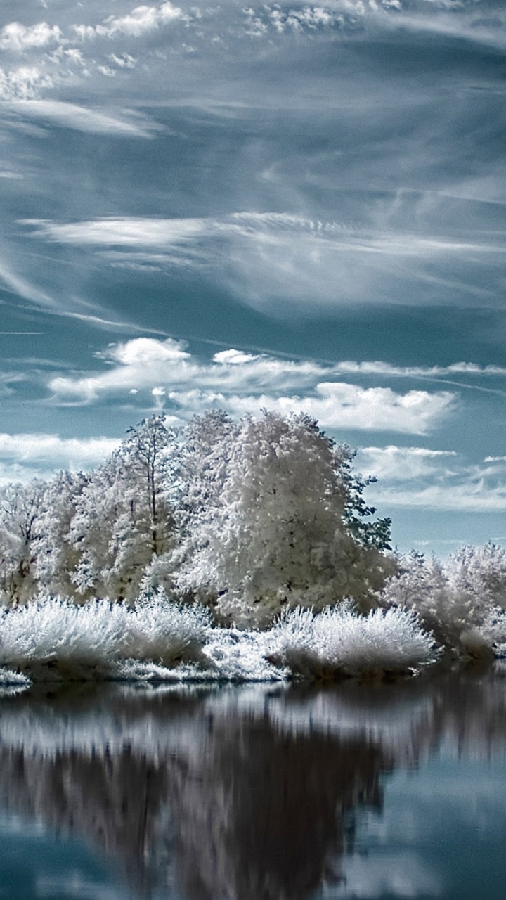 Скачать картинку Зима, Озеро, Дерево, Земля/природа в телефон бесплатно.