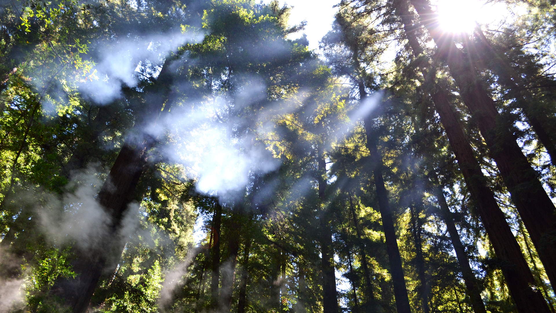 Laden Sie das Sonnenstrahl, Erde/natur-Bild kostenlos auf Ihren PC-Desktop herunter