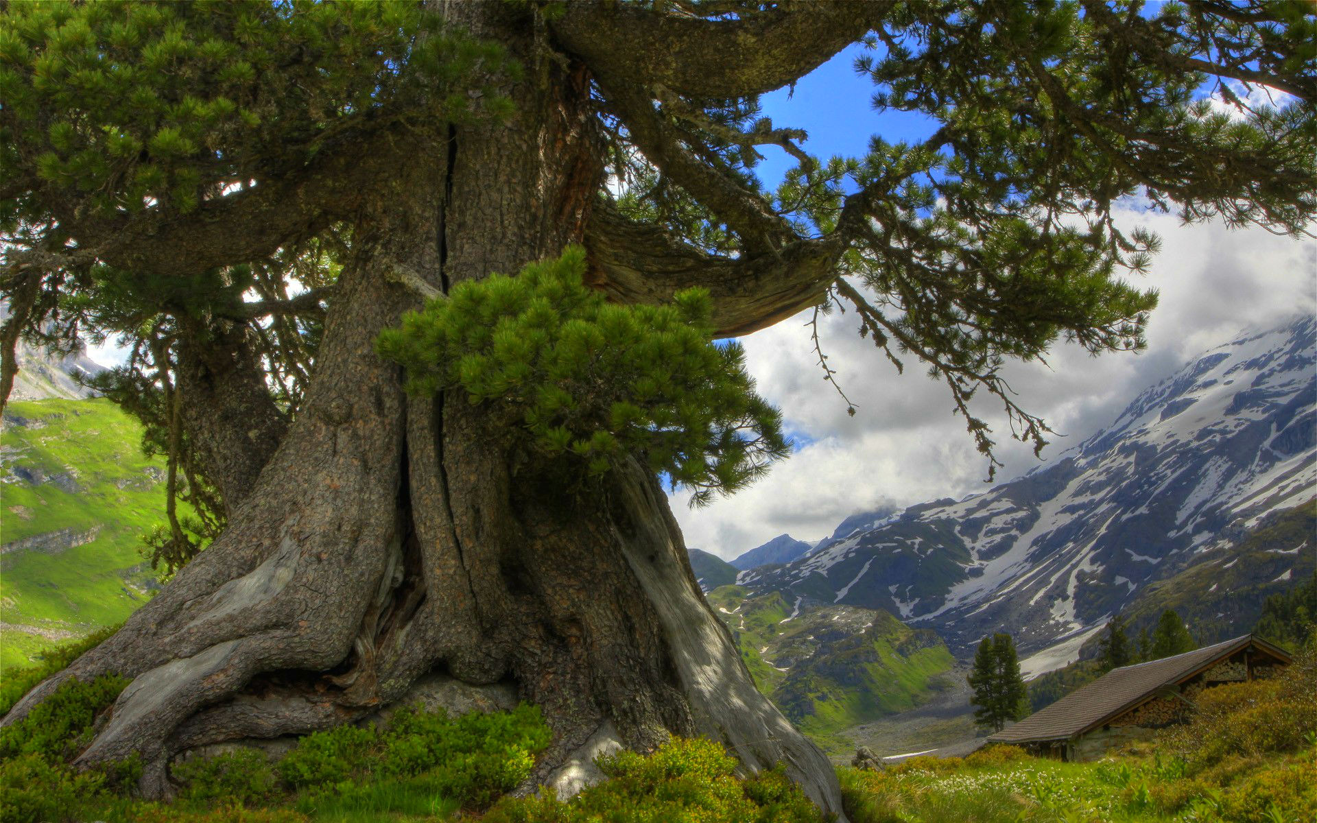 Laden Sie das Landschaft, Bäume, Baum, Haus, Gebirge, Wolke, Szene, Erde/natur-Bild kostenlos auf Ihren PC-Desktop herunter