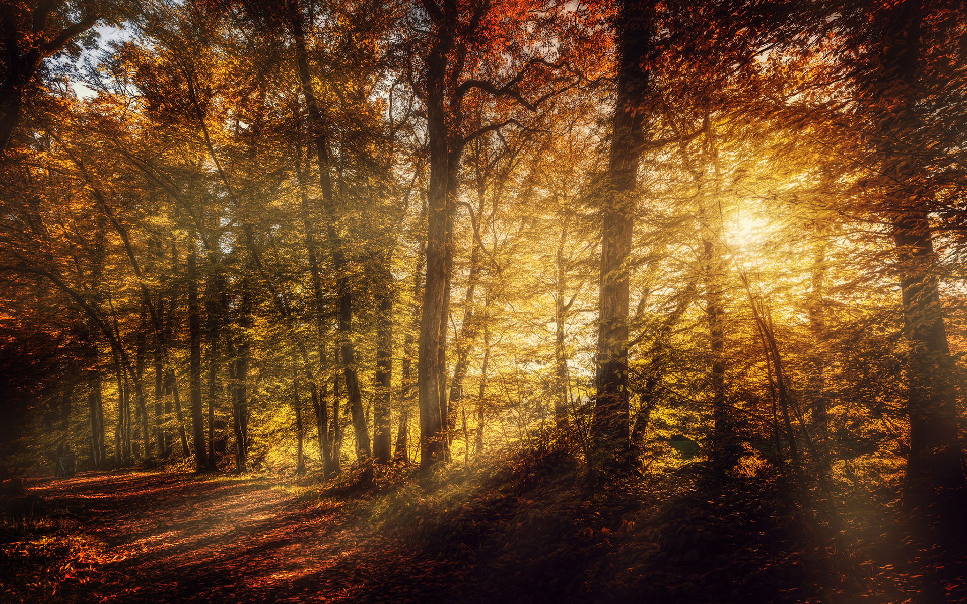 Descarga gratuita de fondo de pantalla para móvil de Rayo De Sol, Tierra/naturaleza.