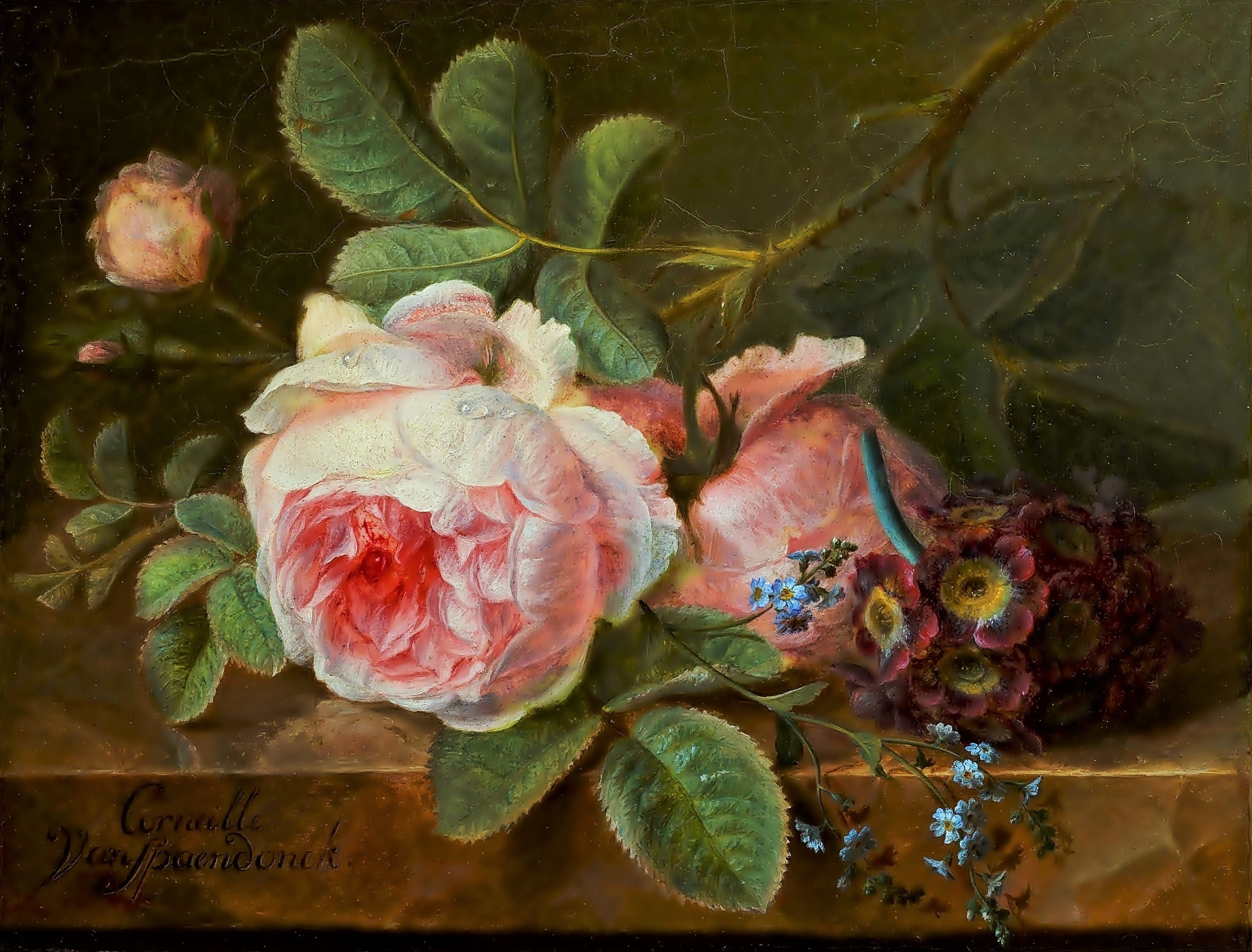 Download mobile wallpaper Still Life, Flower, Rose, Painting, Artistic, Pink Rose for free.