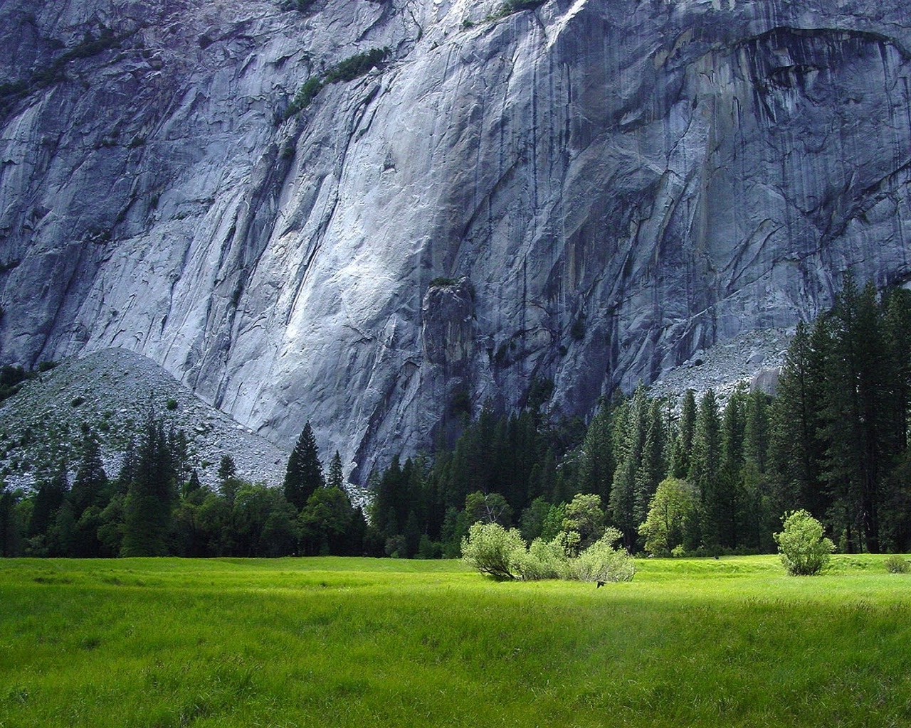 Handy-Wallpaper Landschaft, Bäume, Grass, Mountains kostenlos herunterladen.