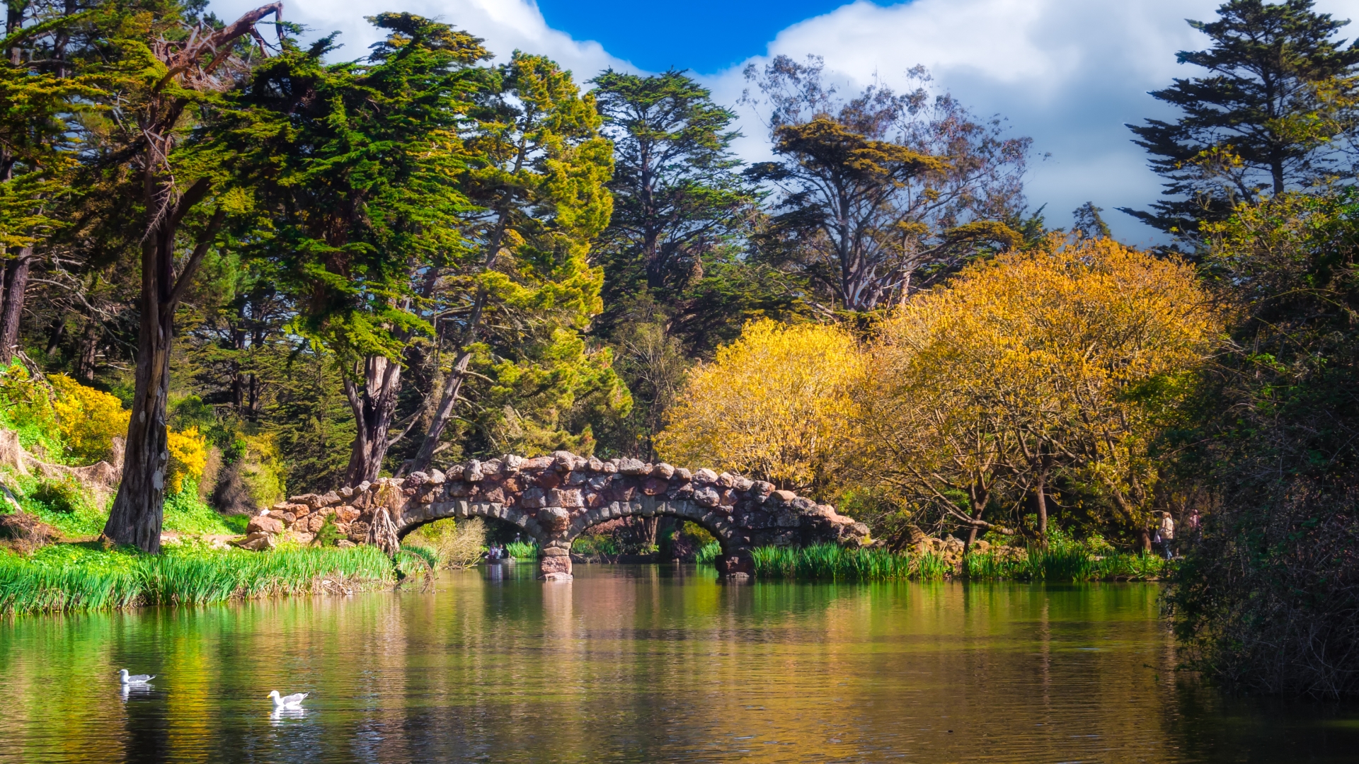 662555 Hintergrundbild herunterladen menschengemacht, golden gate park - Bildschirmschoner und Bilder kostenlos