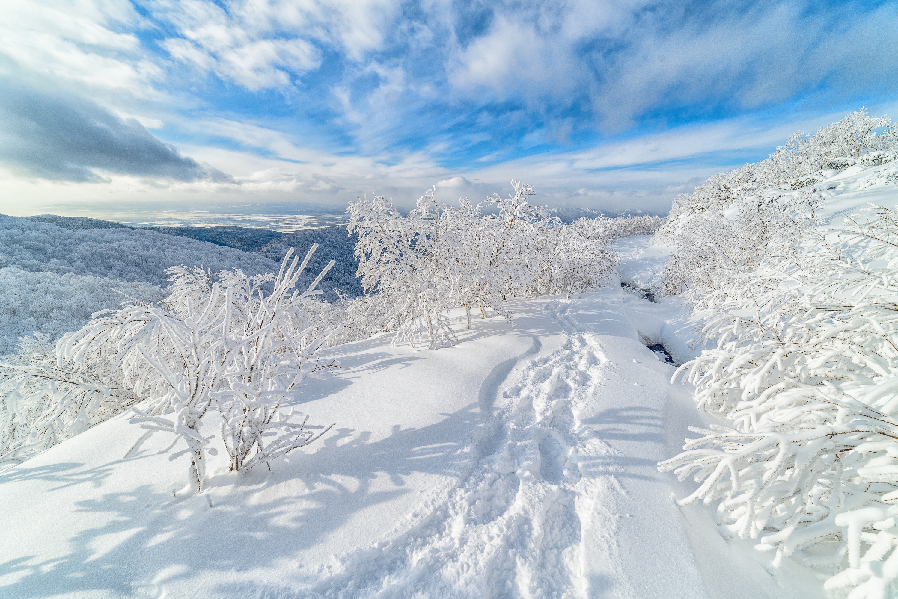 Free download wallpaper Winter, Snow, Earth, Cloud, Russia on your PC desktop