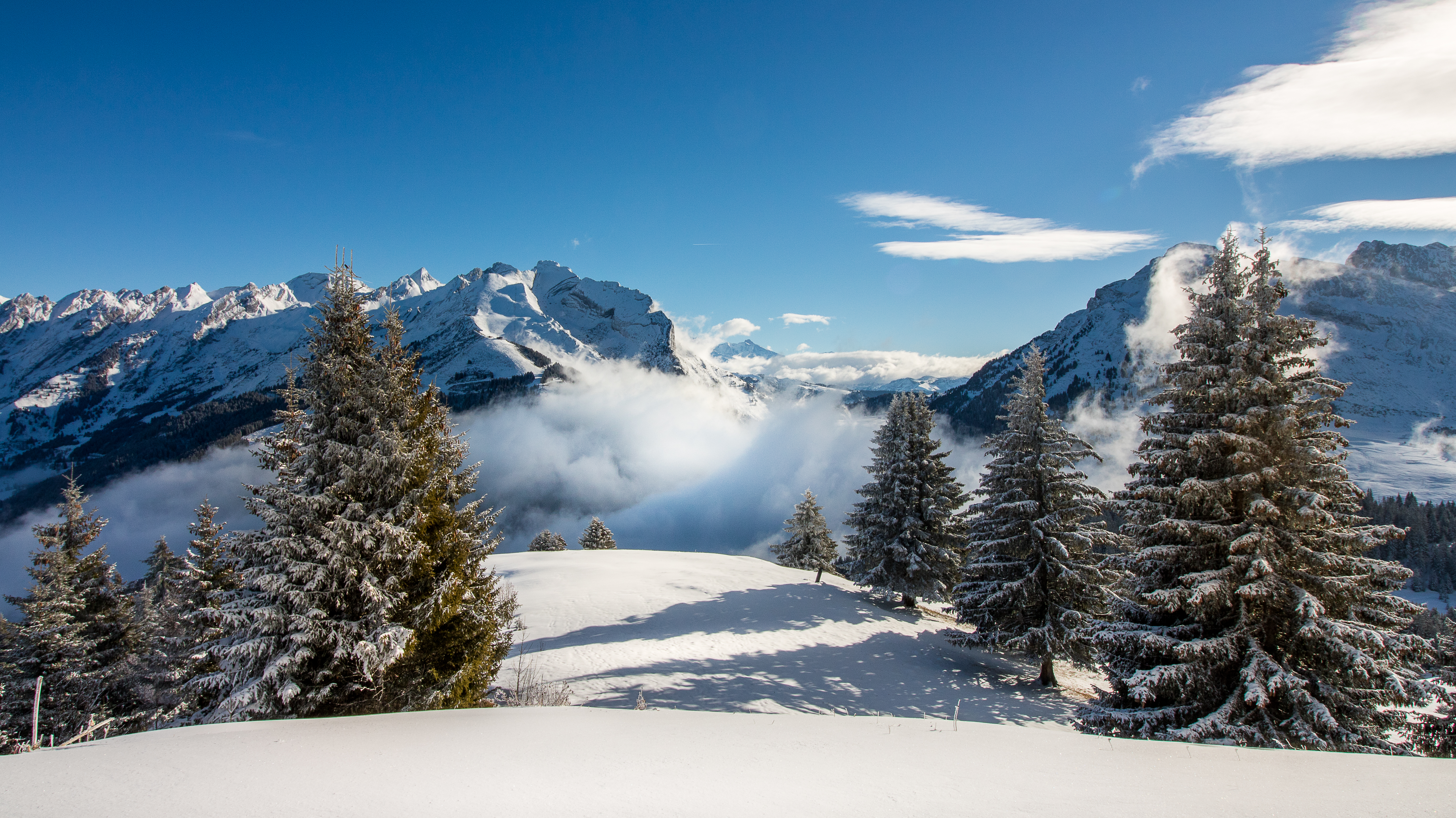 PCデスクトップに自然, スプルース, モミ, 雪, 霧, 山脈画像を無料でダウンロード