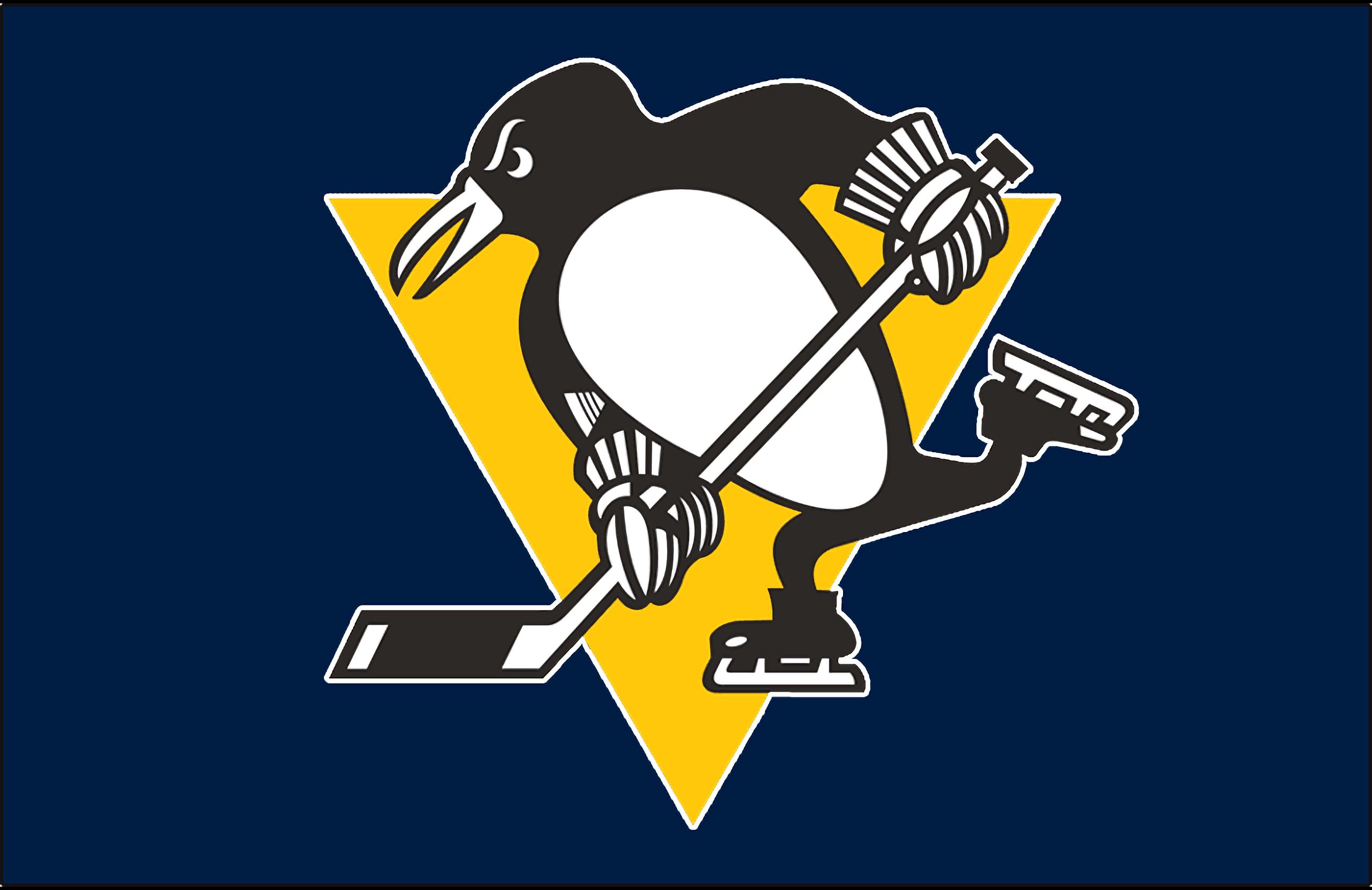 sports, pittsburgh penguins, hockey