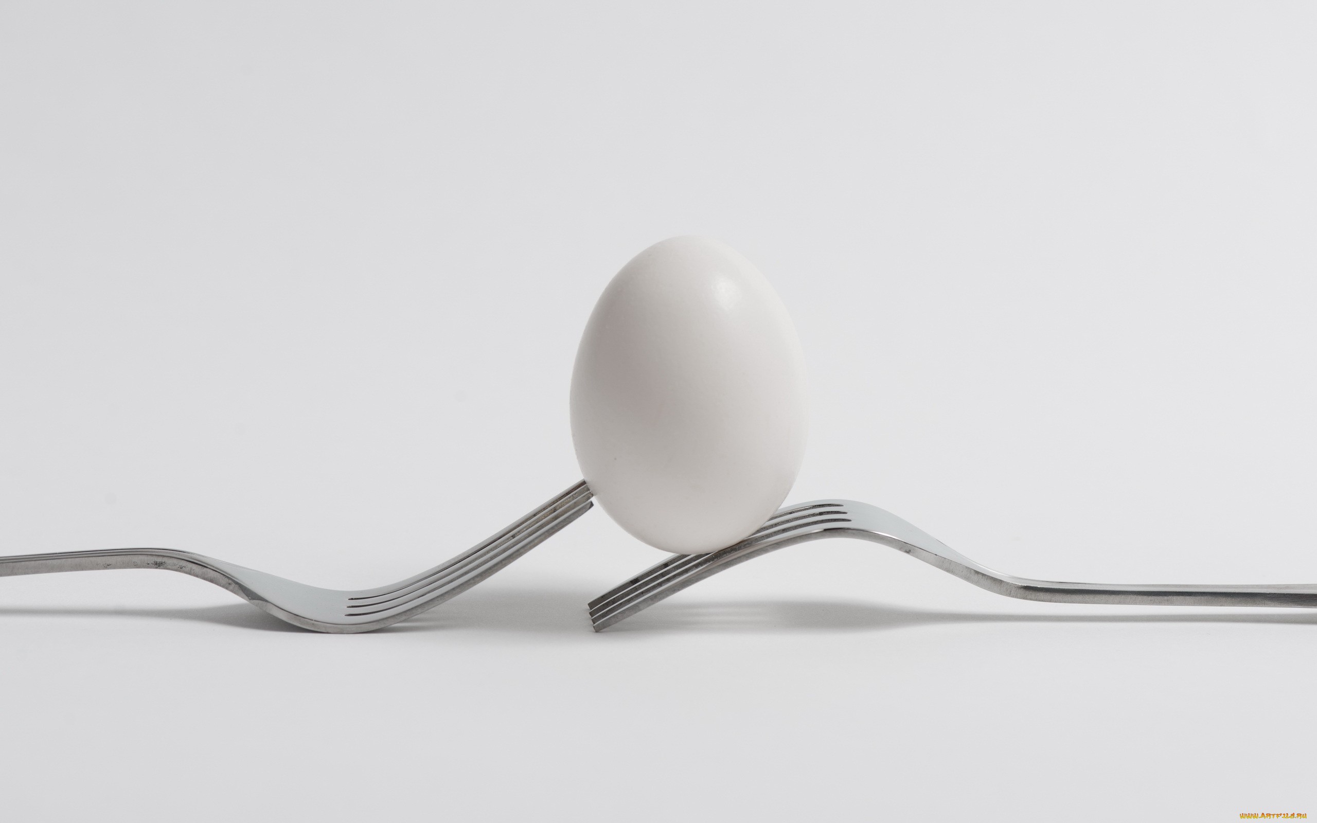 Завантажити шпалери безкоштовно Яйце, Харчування картинка на робочий стіл ПК
