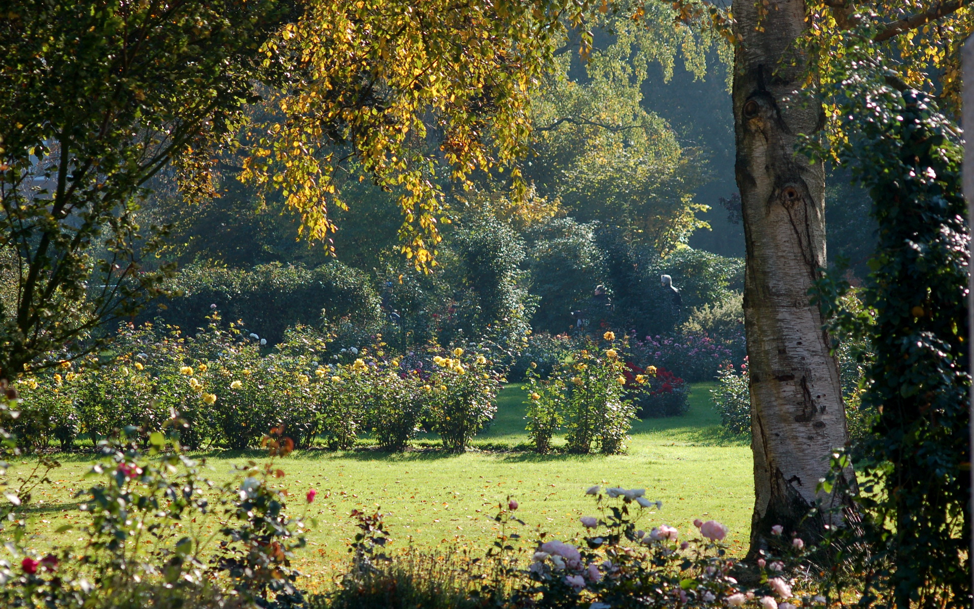 Handy-Wallpaper Garten, Menschengemacht kostenlos herunterladen.