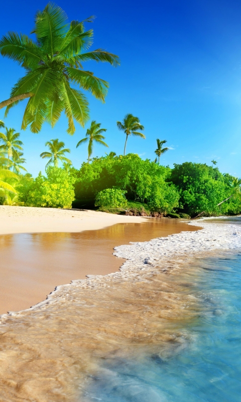 Скачать картинку Тропический, Земля/природа, Морской Пейзаж в телефон бесплатно.