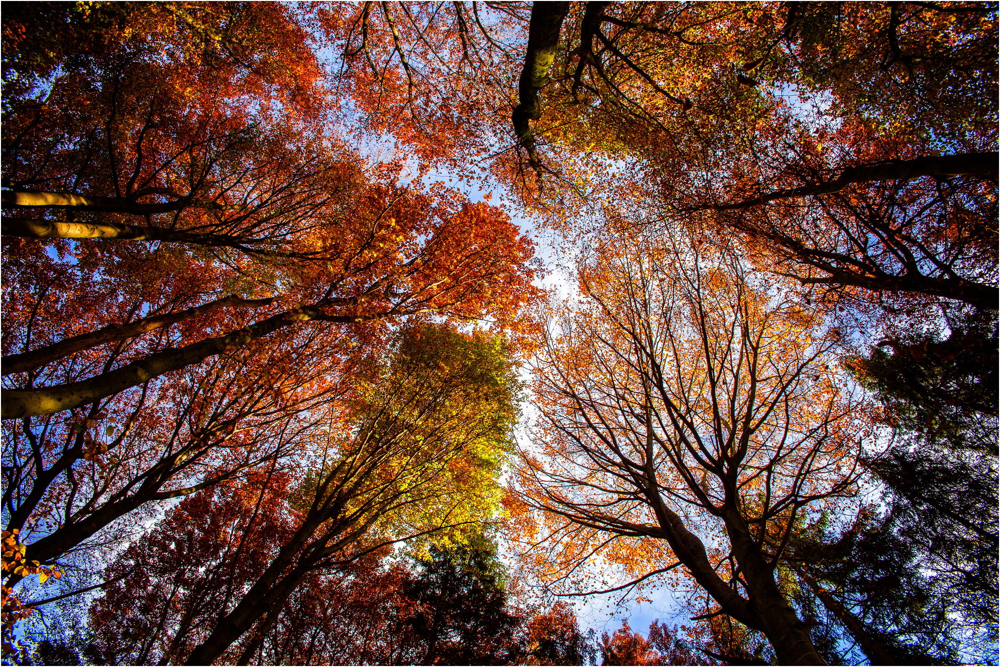 Téléchargez des papiers peints mobile Automne, Terre/nature gratuitement.