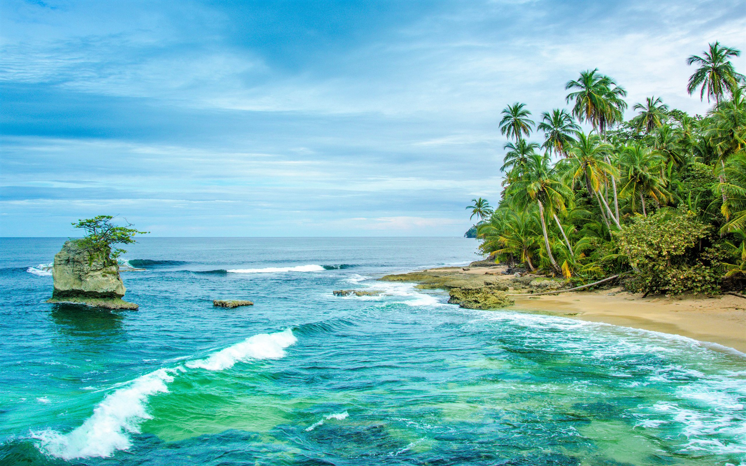 865022 télécharger l'image plage, costa rica, terre/nature, horizon, océan, palmier, mer, arbre, tropical - fonds d'écran et économiseurs d'écran gratuits