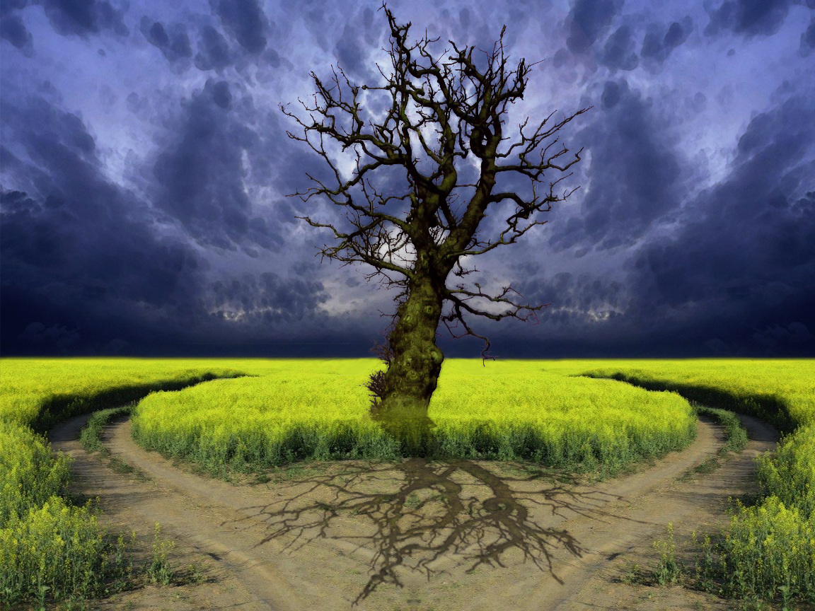 Laden Sie das Natur, Baum, Herz, Himmel, Künstlerisch-Bild kostenlos auf Ihren PC-Desktop herunter