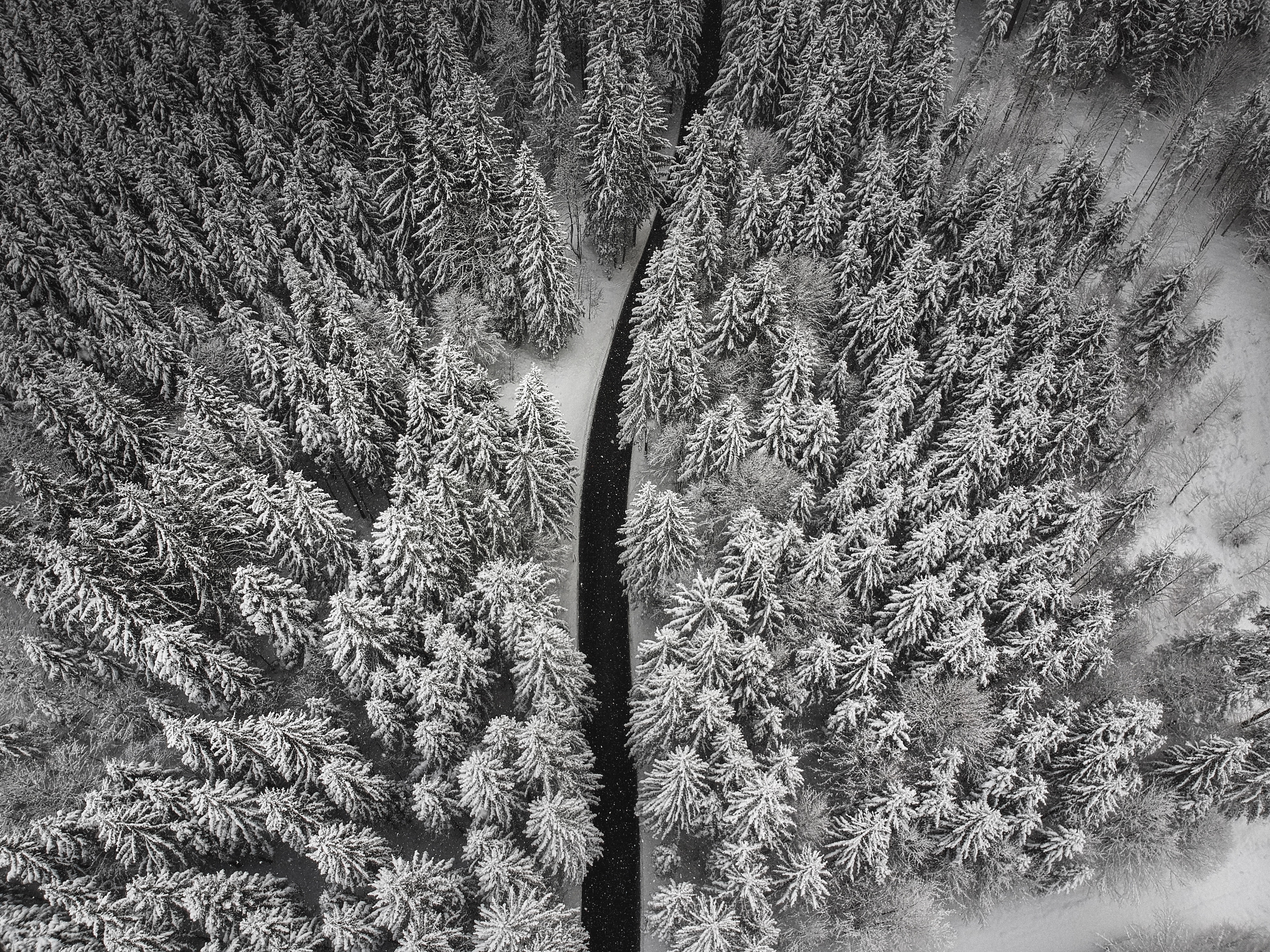 PCデスクトップに自然, 雪, 冬, 木, 道路, 上から見る, 道画像を無料でダウンロード