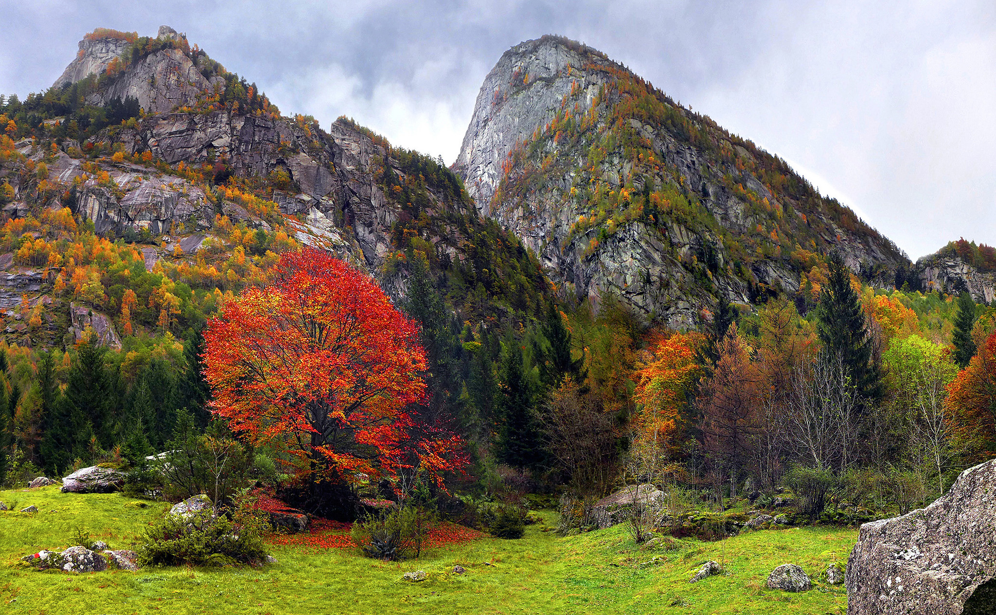 Baixar papel de parede para celular de Montanhas, Outono, Montanha, Árvore, Terra/natureza gratuito.