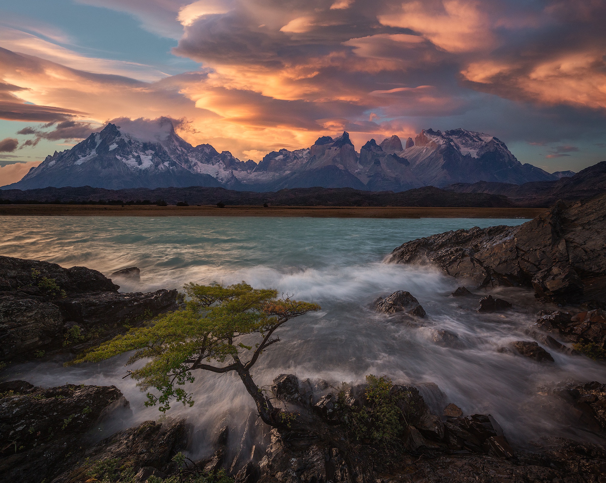 Laden Sie das Baum, Gebirge, Berge, Erde/natur, Nationalpark Torres Del Paine-Bild kostenlos auf Ihren PC-Desktop herunter