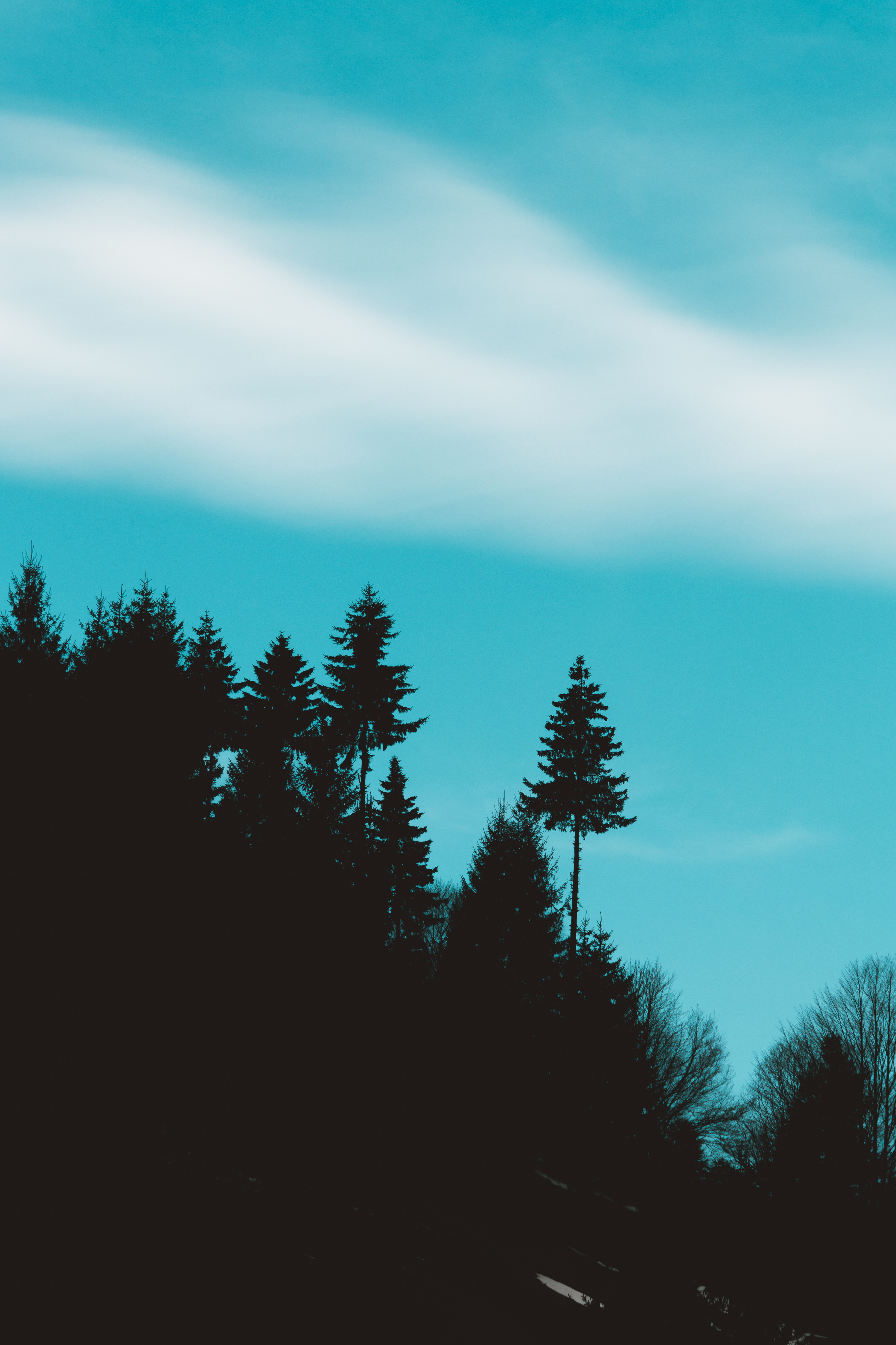 Download mobile wallpaper Elevation, Sky, Trees, Silhouettes, Dark for free.