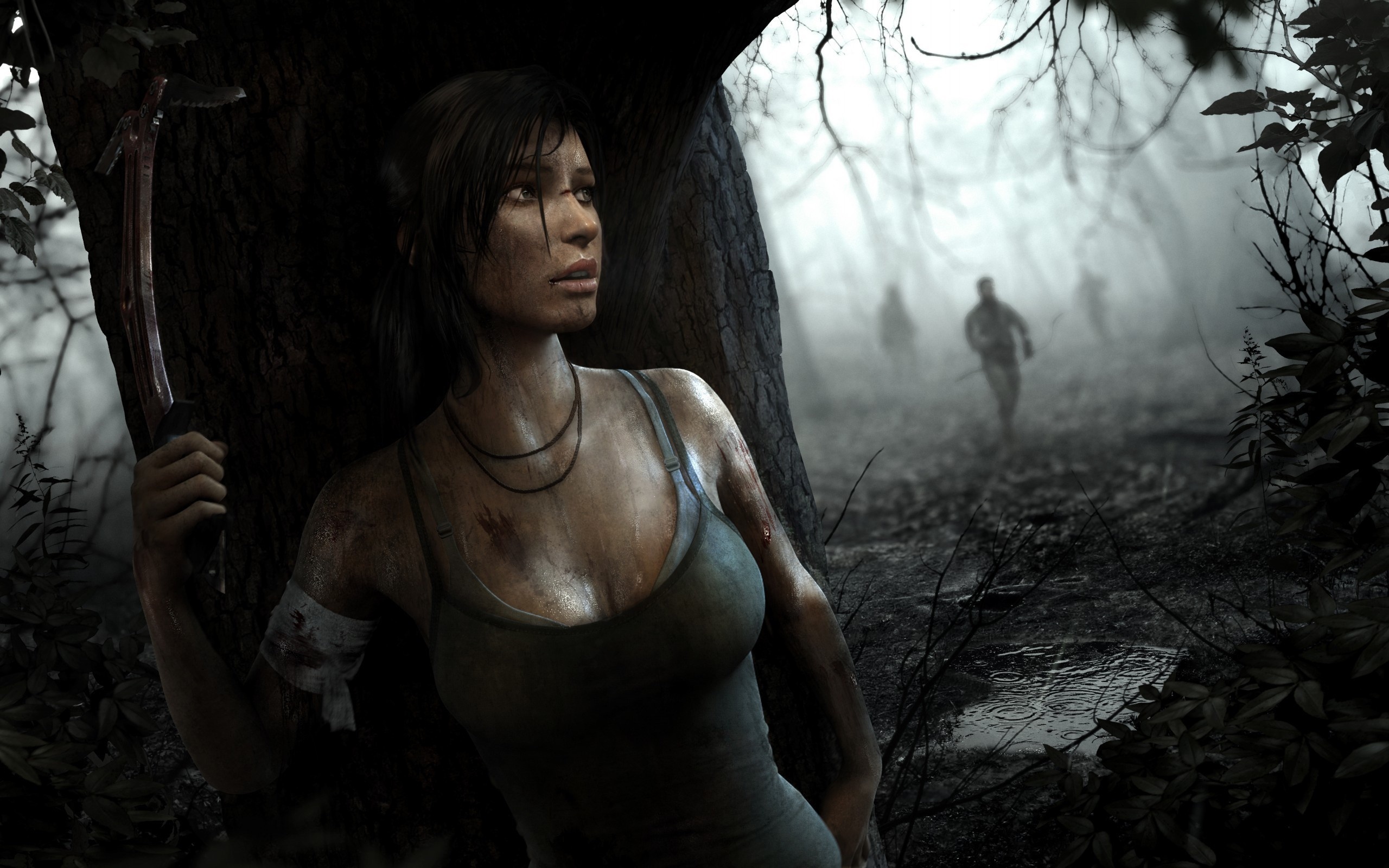Tomb Raider HD photos