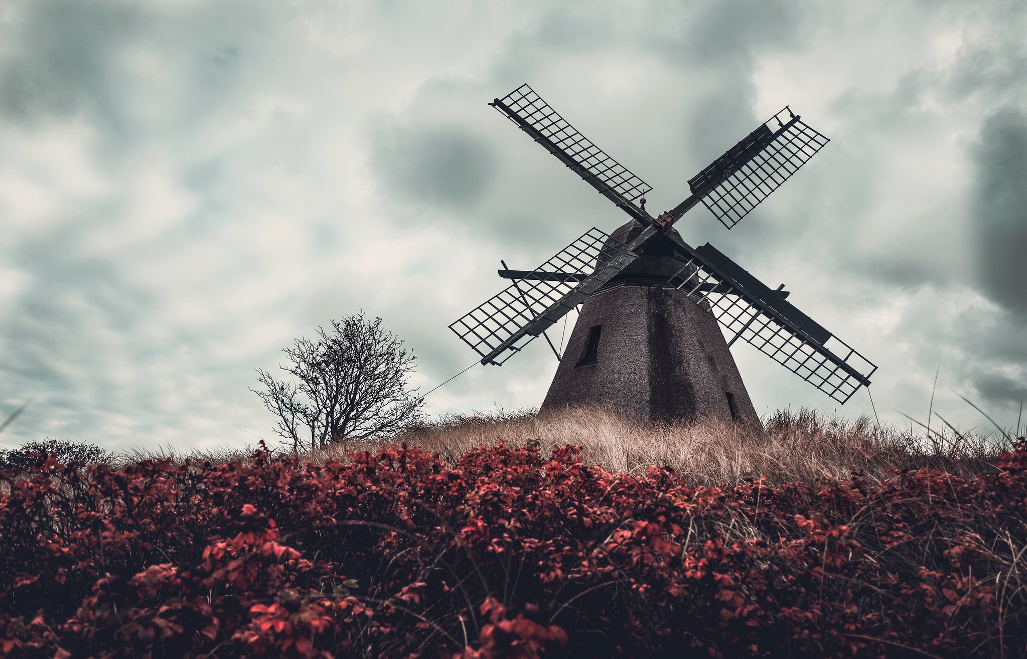 Free download wallpaper Building, Plant, Fall, Windmill, Man Made on your PC desktop