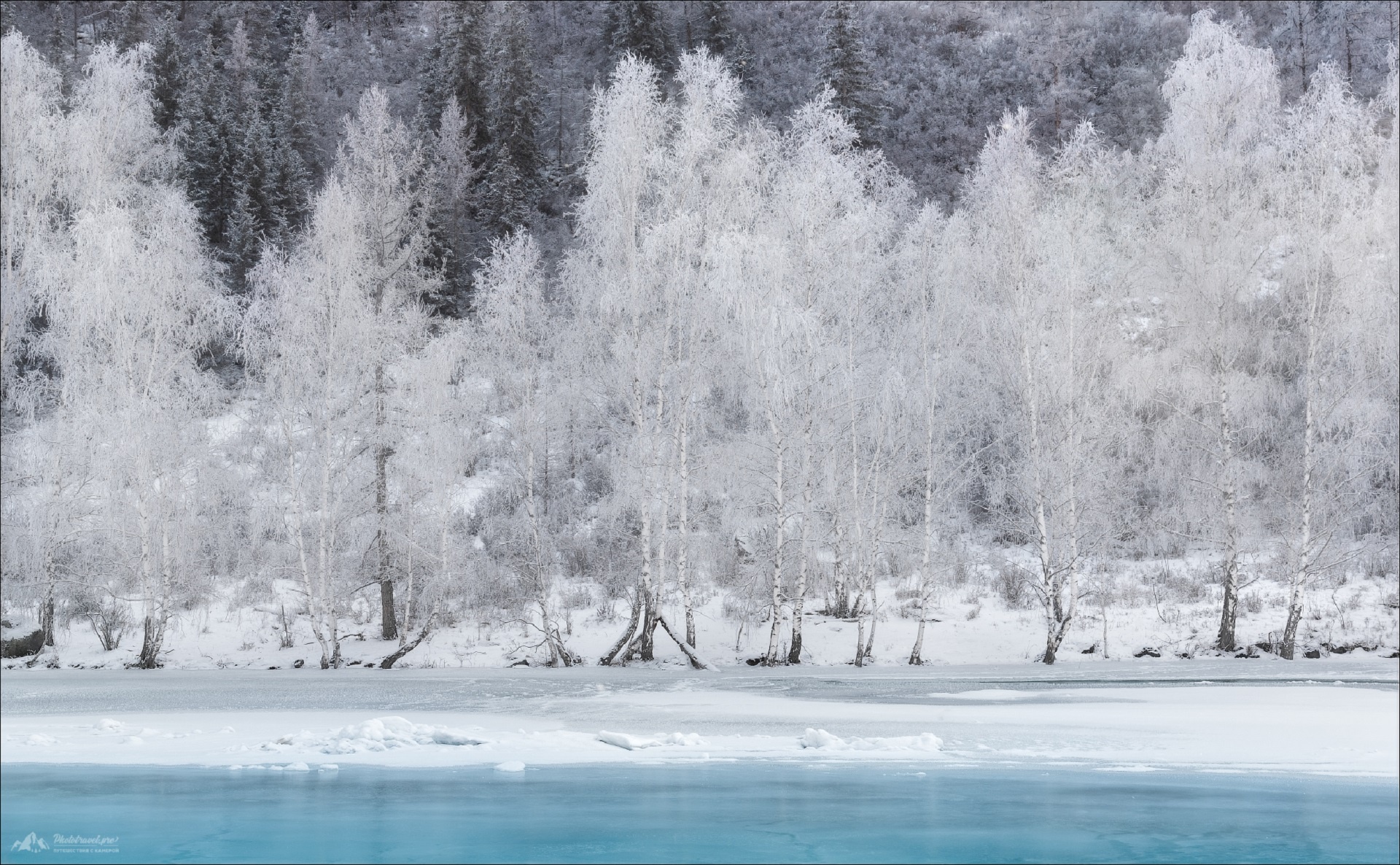 Free download wallpaper Winter, Snow, Tree, Earth on your PC desktop