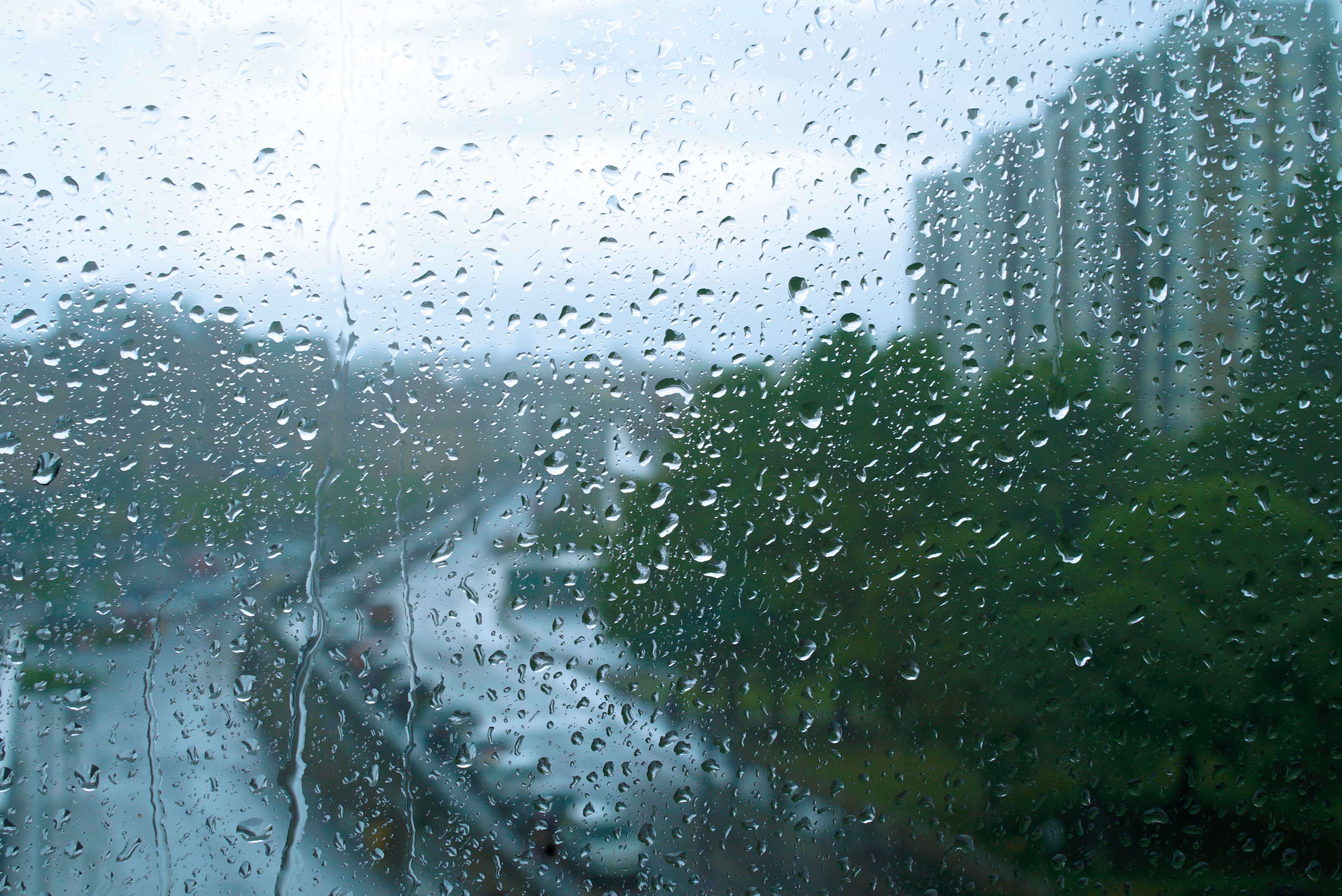 photography, rain, blur, raindrops, water drop, window
